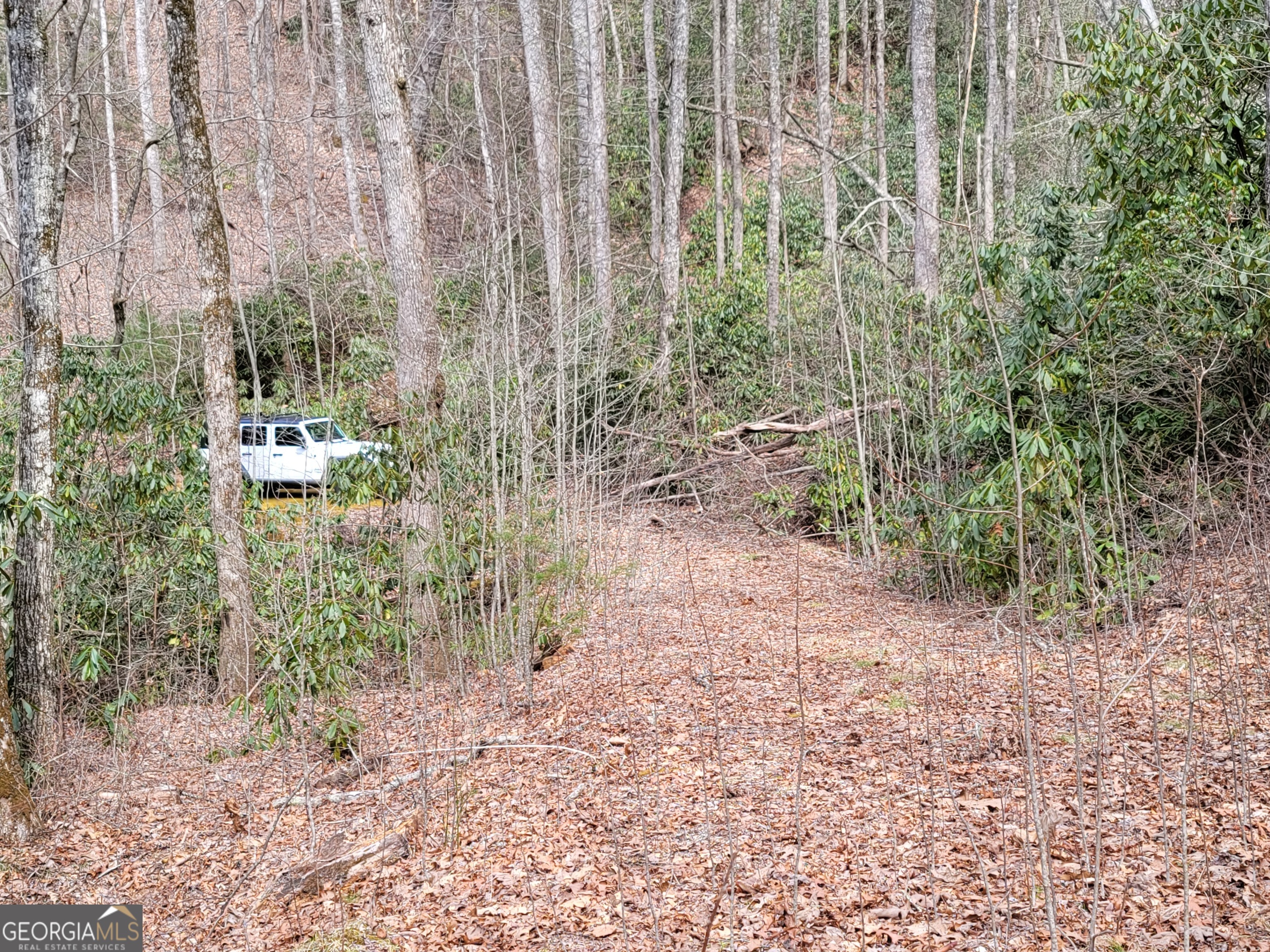0 Bald Mountain # 57 Property Photo 2