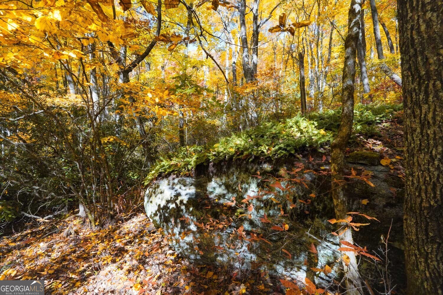 0 Bald Mountain # 57 Property Photo 8