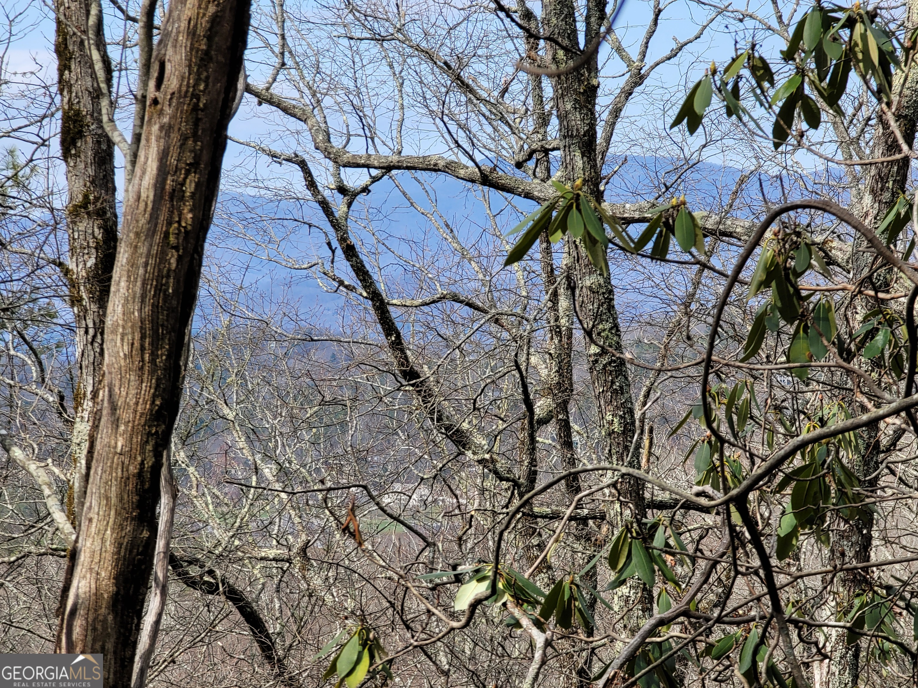 0 Bald Mountain # 57 Property Photo 14