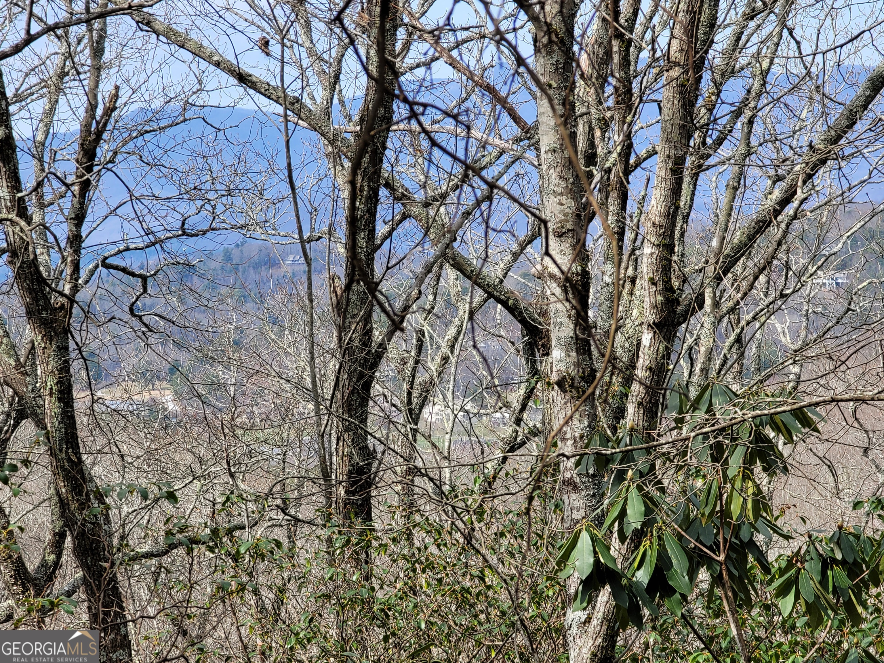 0 Bald Mountain # 57 Property Photo 16