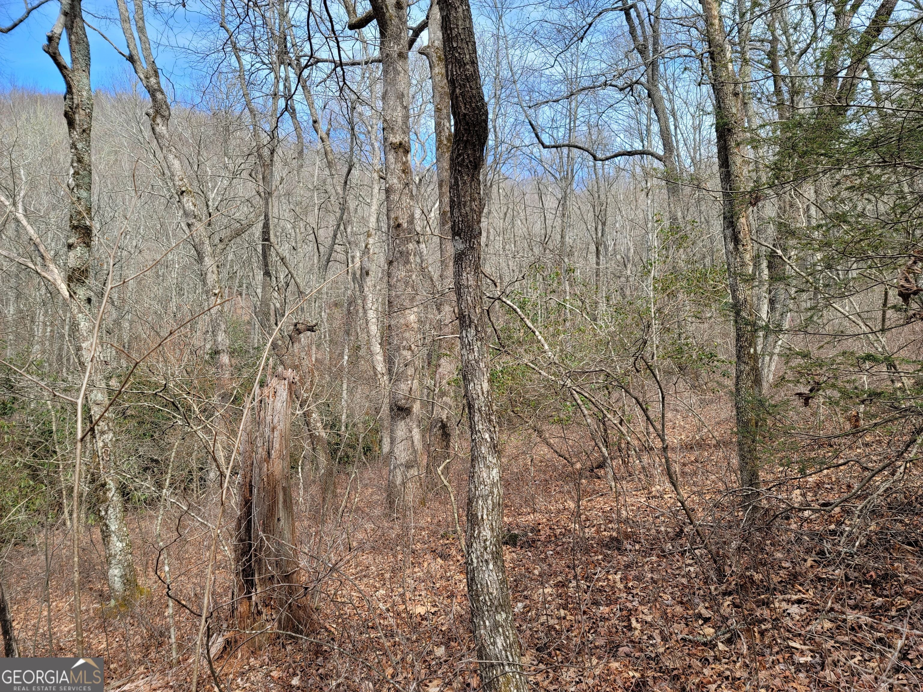 0 Bald Mountain # 57 Property Photo 17