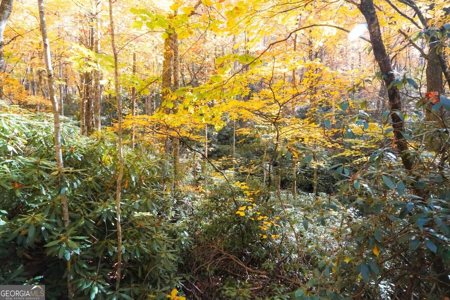 0 Bald Mountain # 57 Property Photo 20