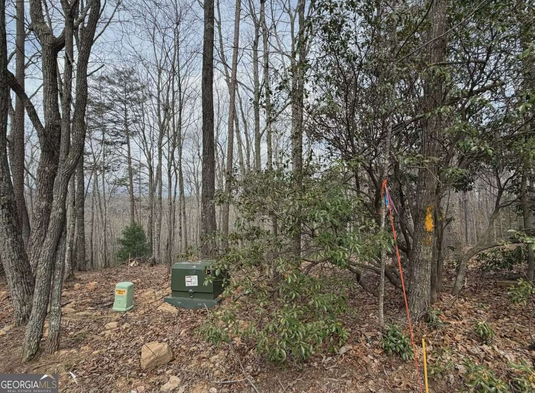 Tract B2 Mountain Ridge # 2 Property Photo 2