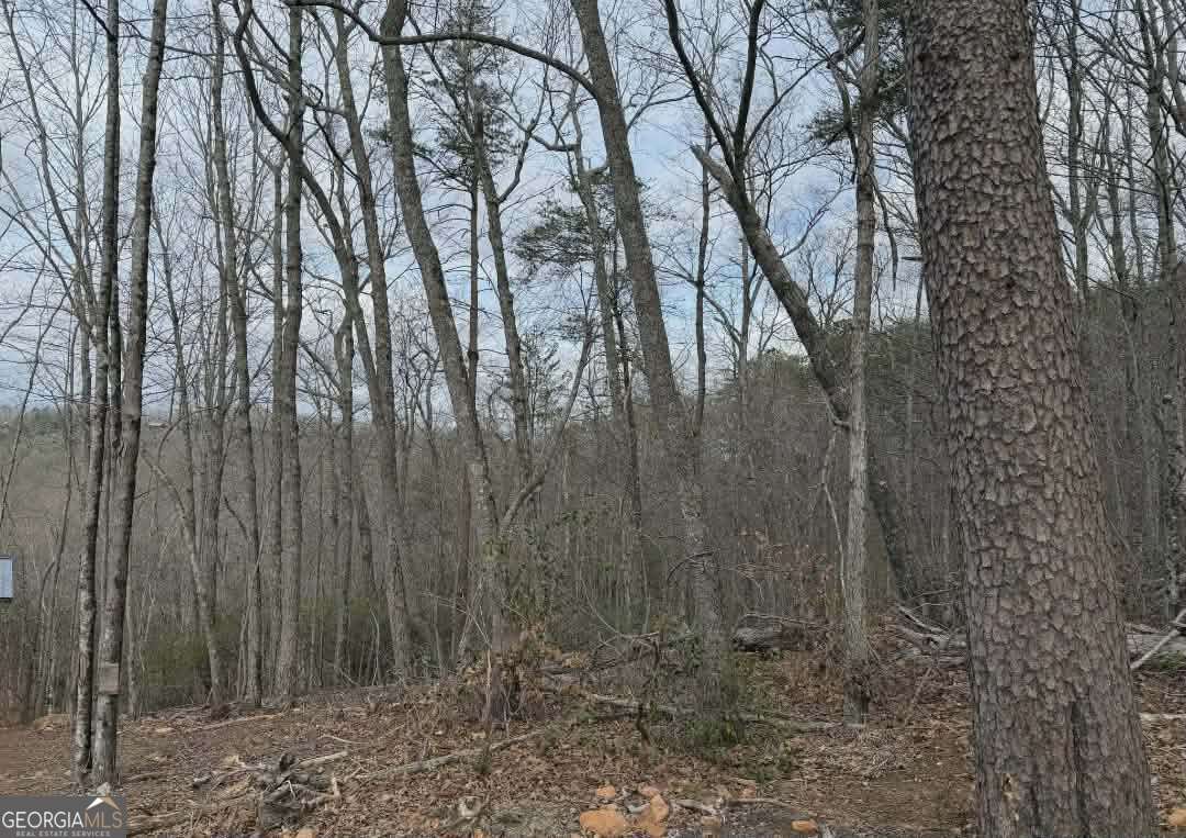 Tract B2 Mountain Ridge # 2 Property Photo 3