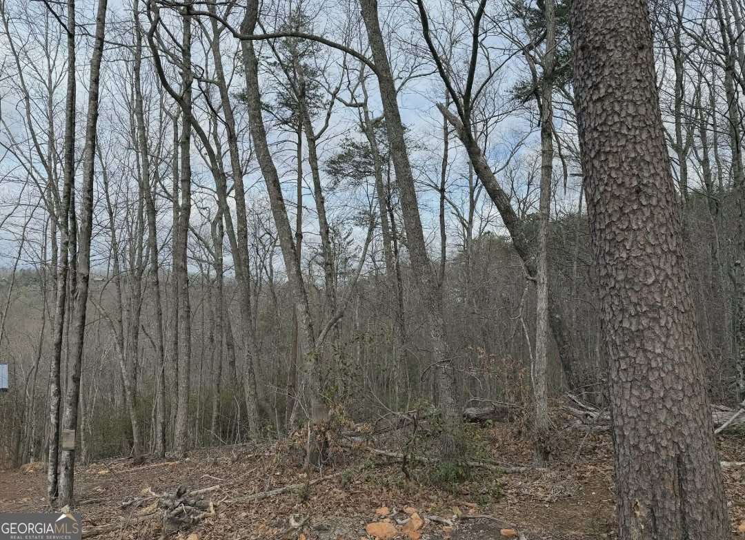 Tract B2 Mountain Ridge # 2 Property Photo 4