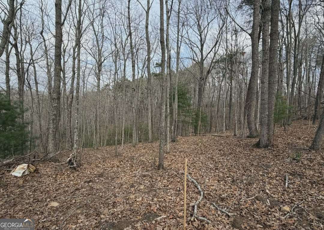 Tract B2 Mountain Ridge # 2 Property Photo 5