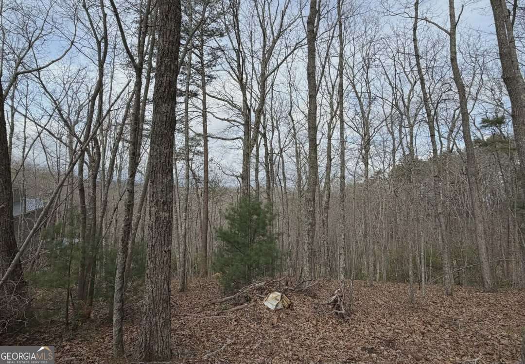 Tract B2 Mountain Ridge # 2 Property Photo 6