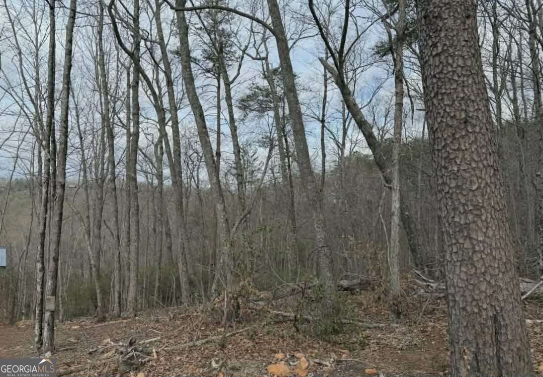 Tract B2 Mountain Ridge # 2 Property Photo 8