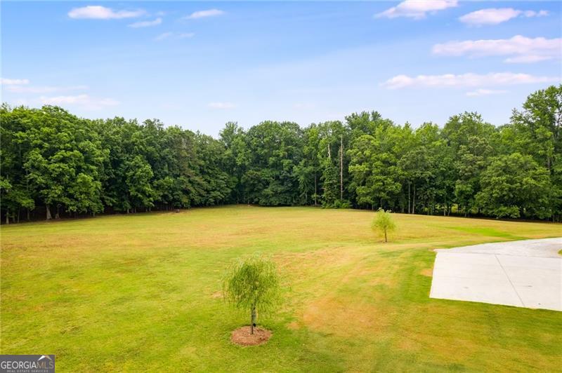 350 Taylor Path Property Photo 68