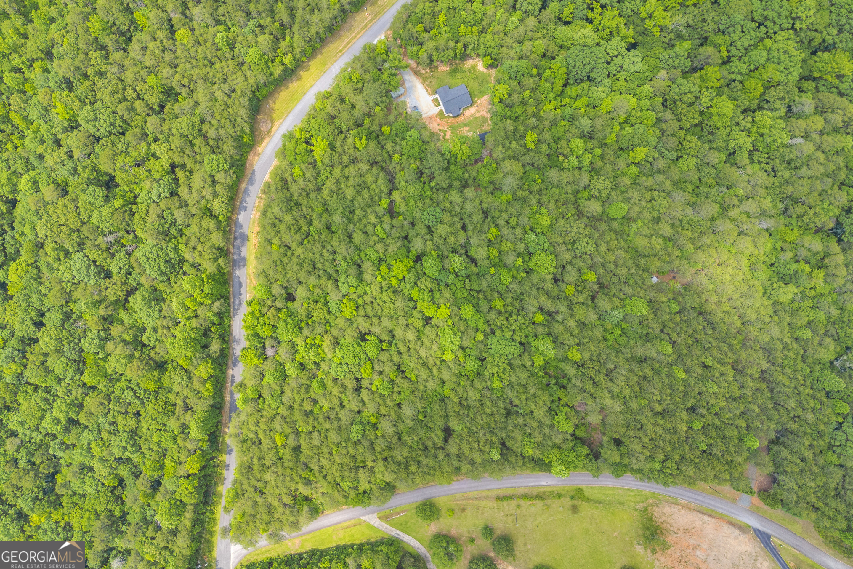 0 Trembly Bald Road Property Photo 13
