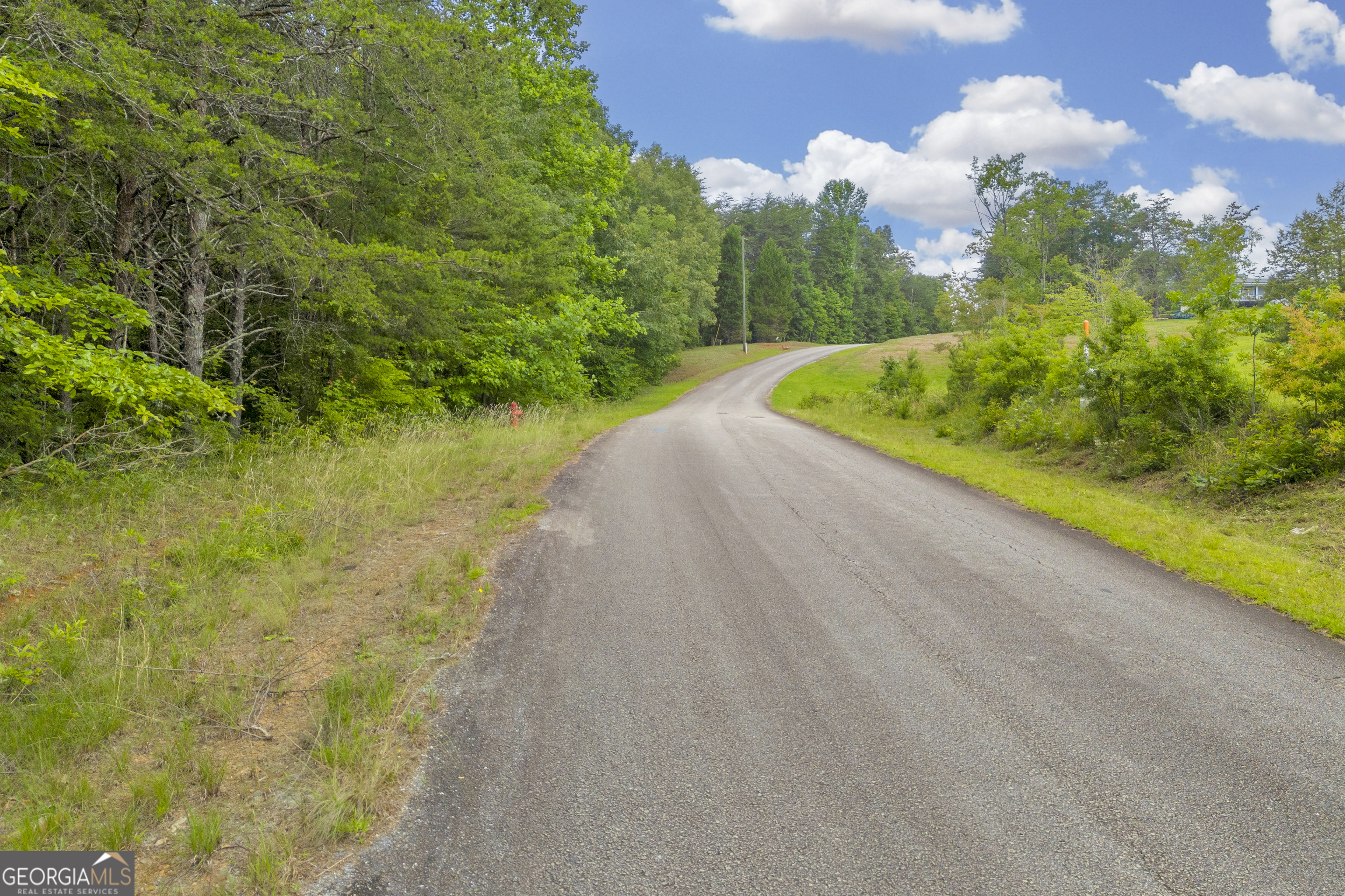 0 Trembly Bald Road Property Photo 14