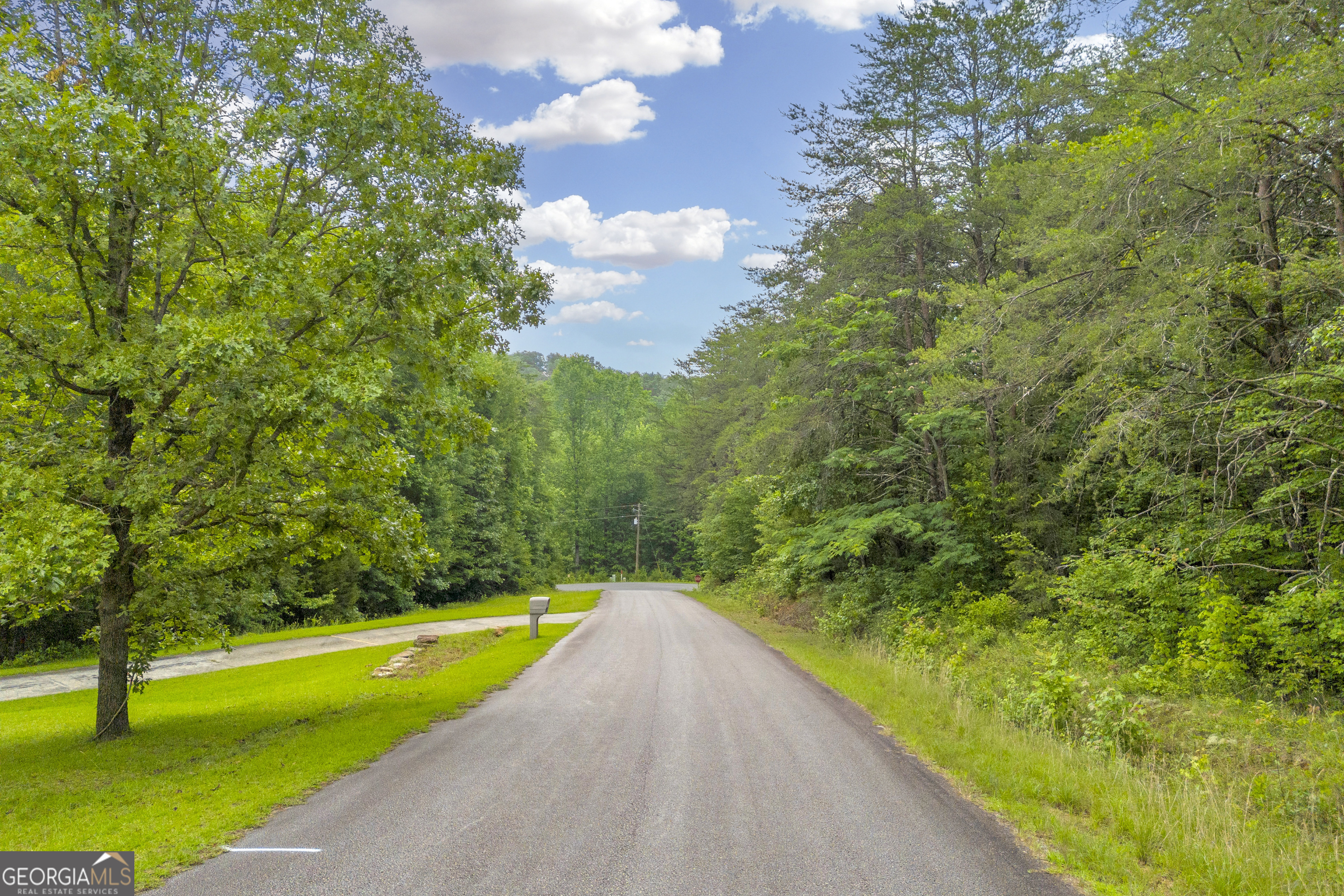 0 Trembly Bald Road Property Photo 15