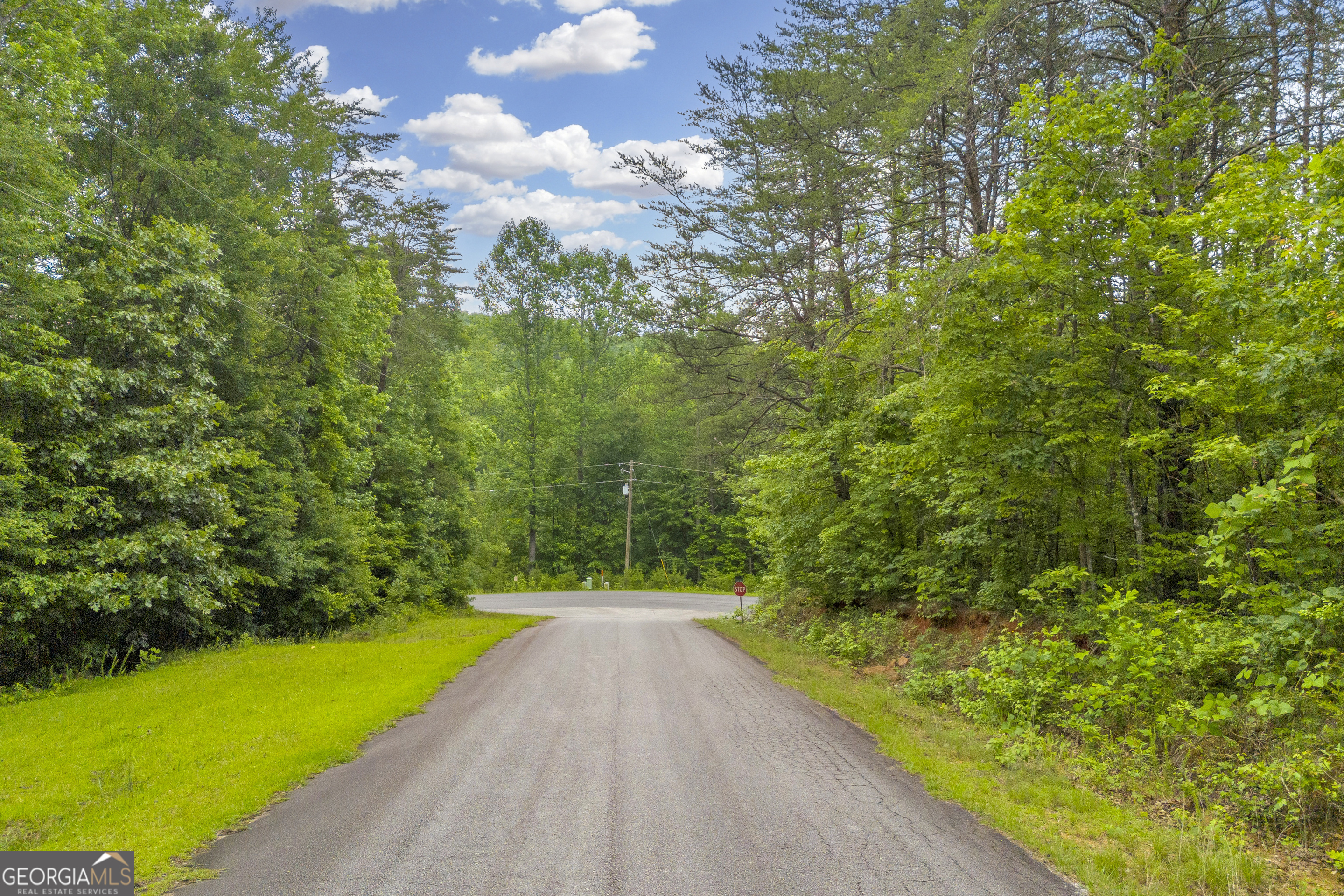 0 Trembly Bald Road Property Photo 16