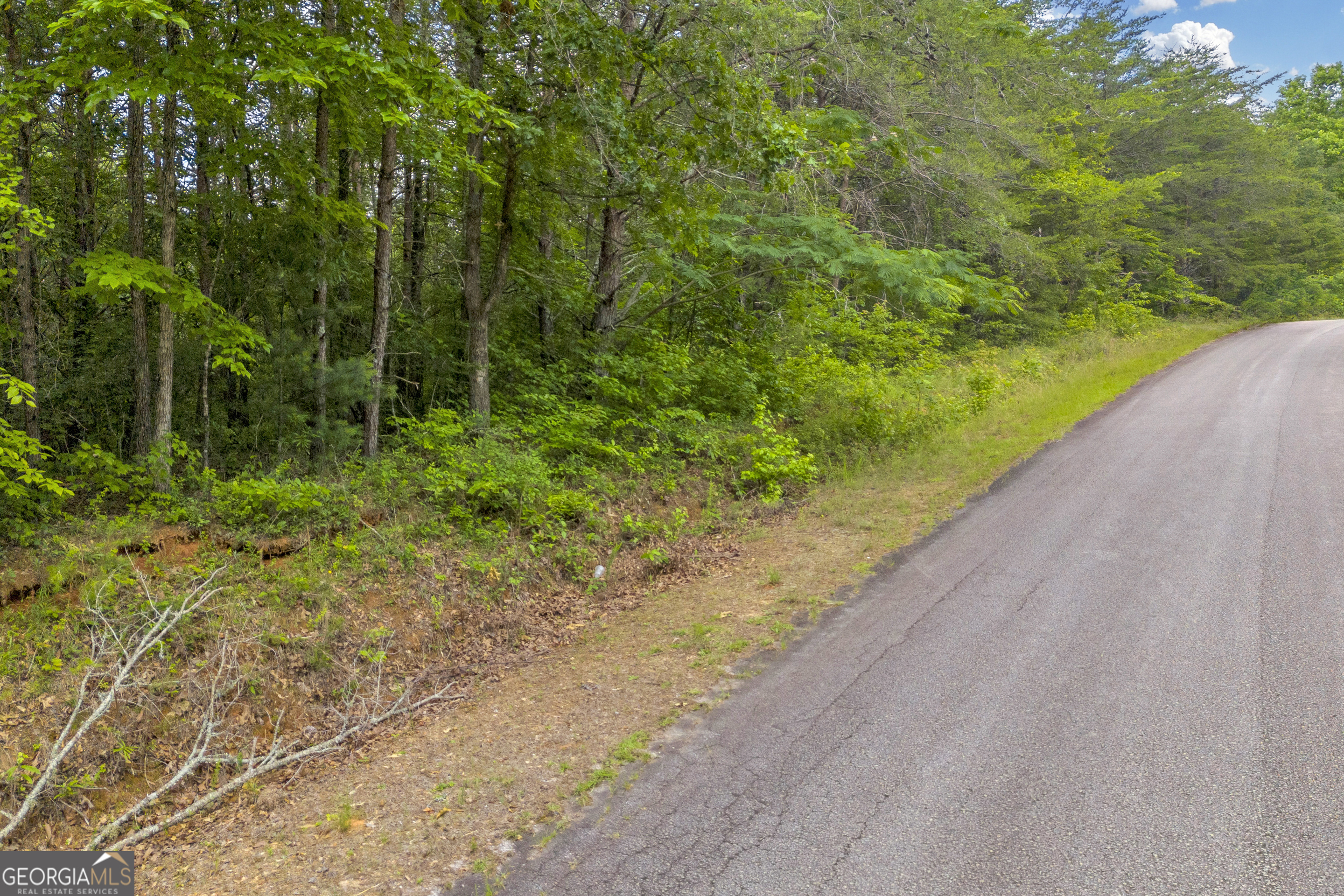 0 Trembly Bald Road Property Photo 17