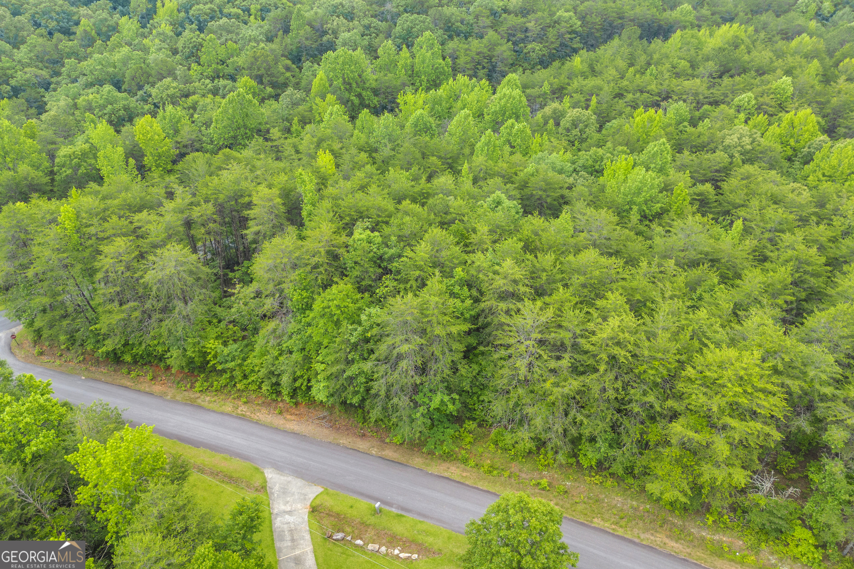 0 Trembly Bald Road Property Photo 18