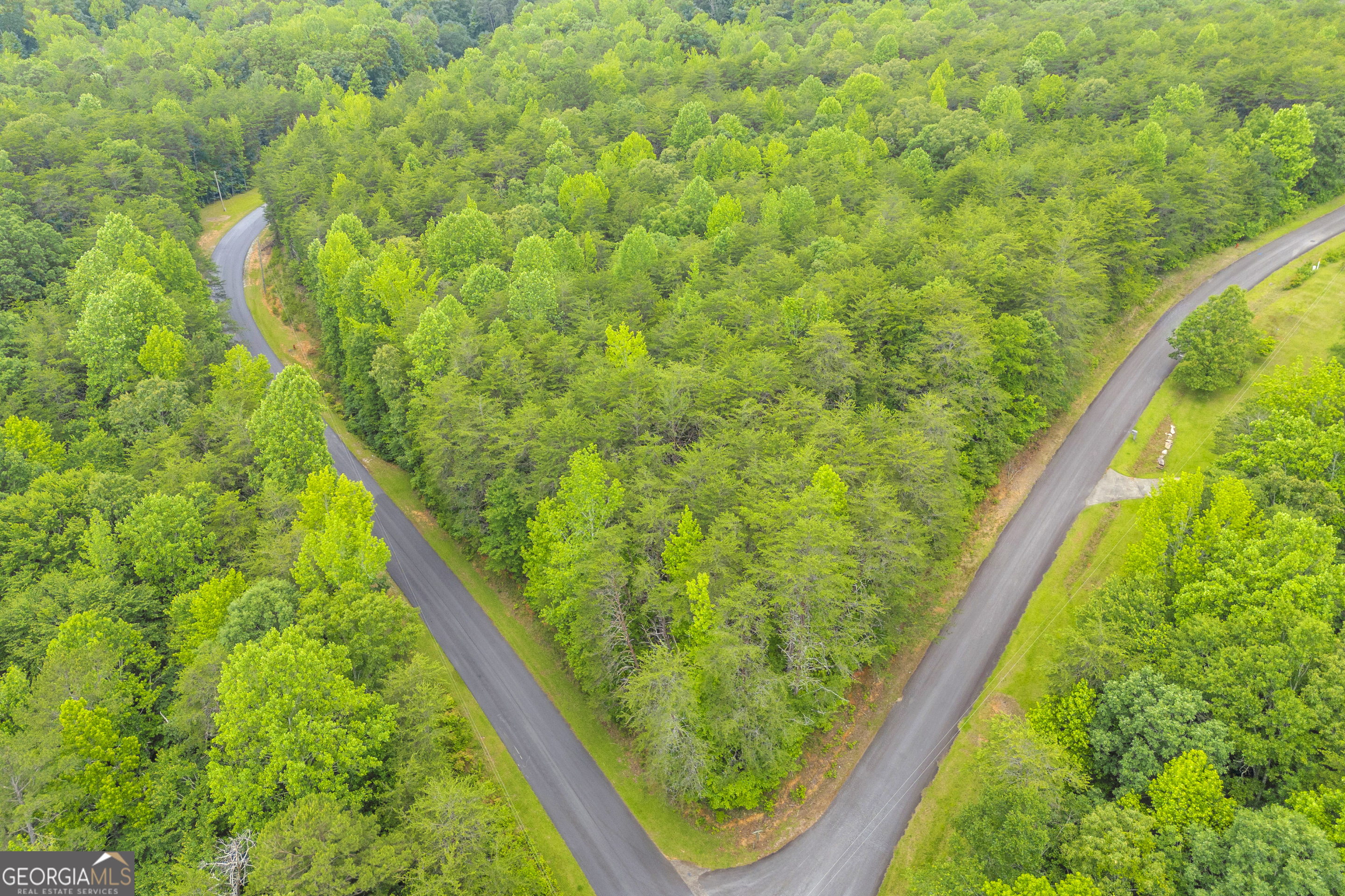 0 Trembly Bald Road Property Photo 19