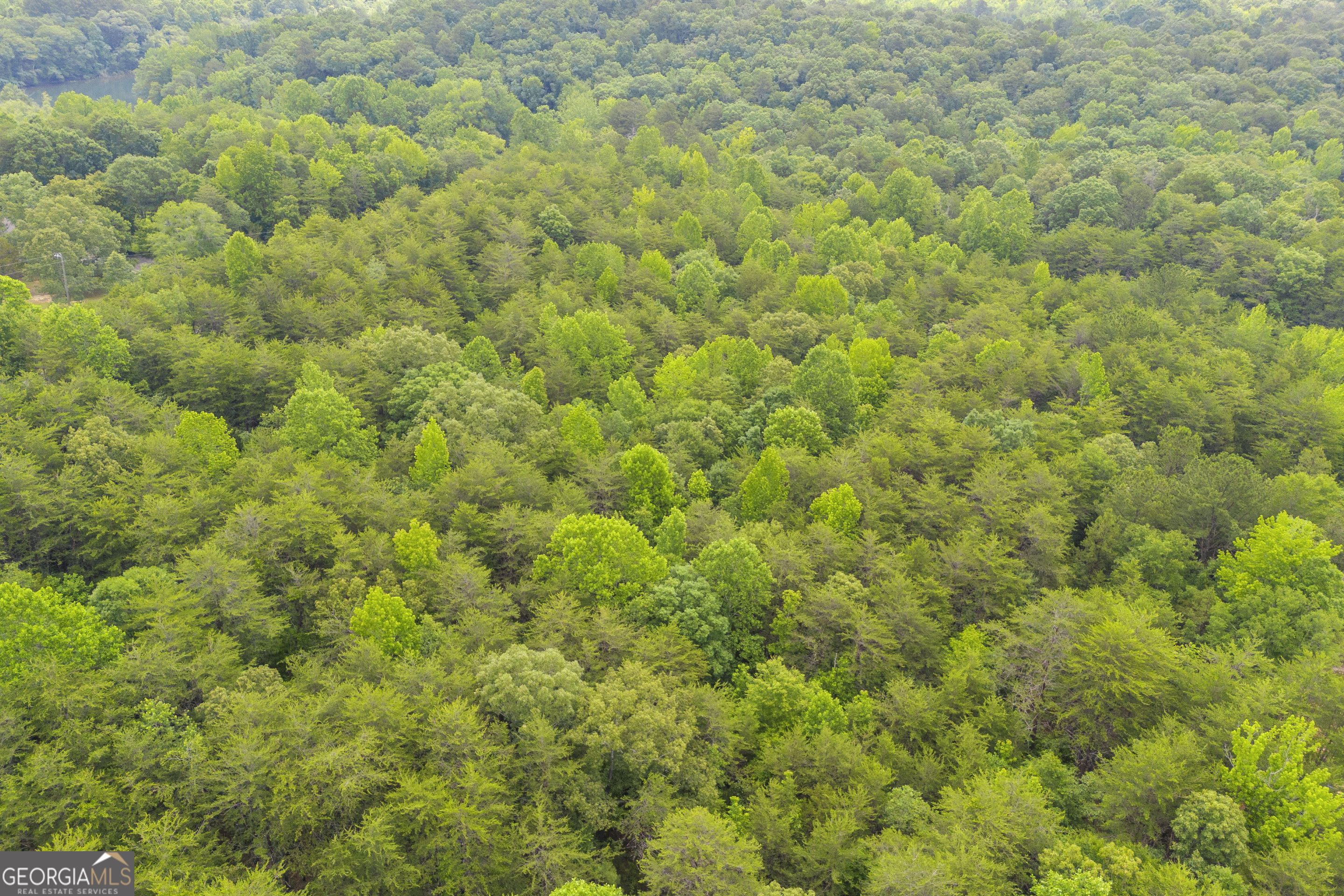 0 Trembly Bald Road Property Photo 21