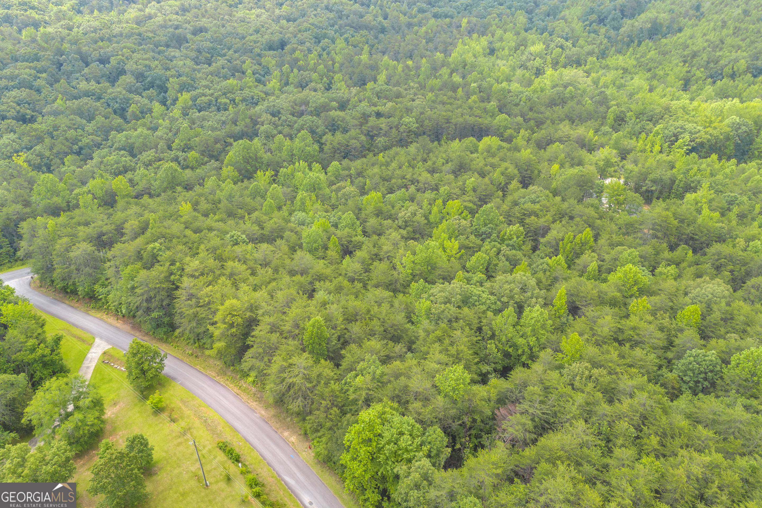 0 Trembly Bald Road Property Photo 22