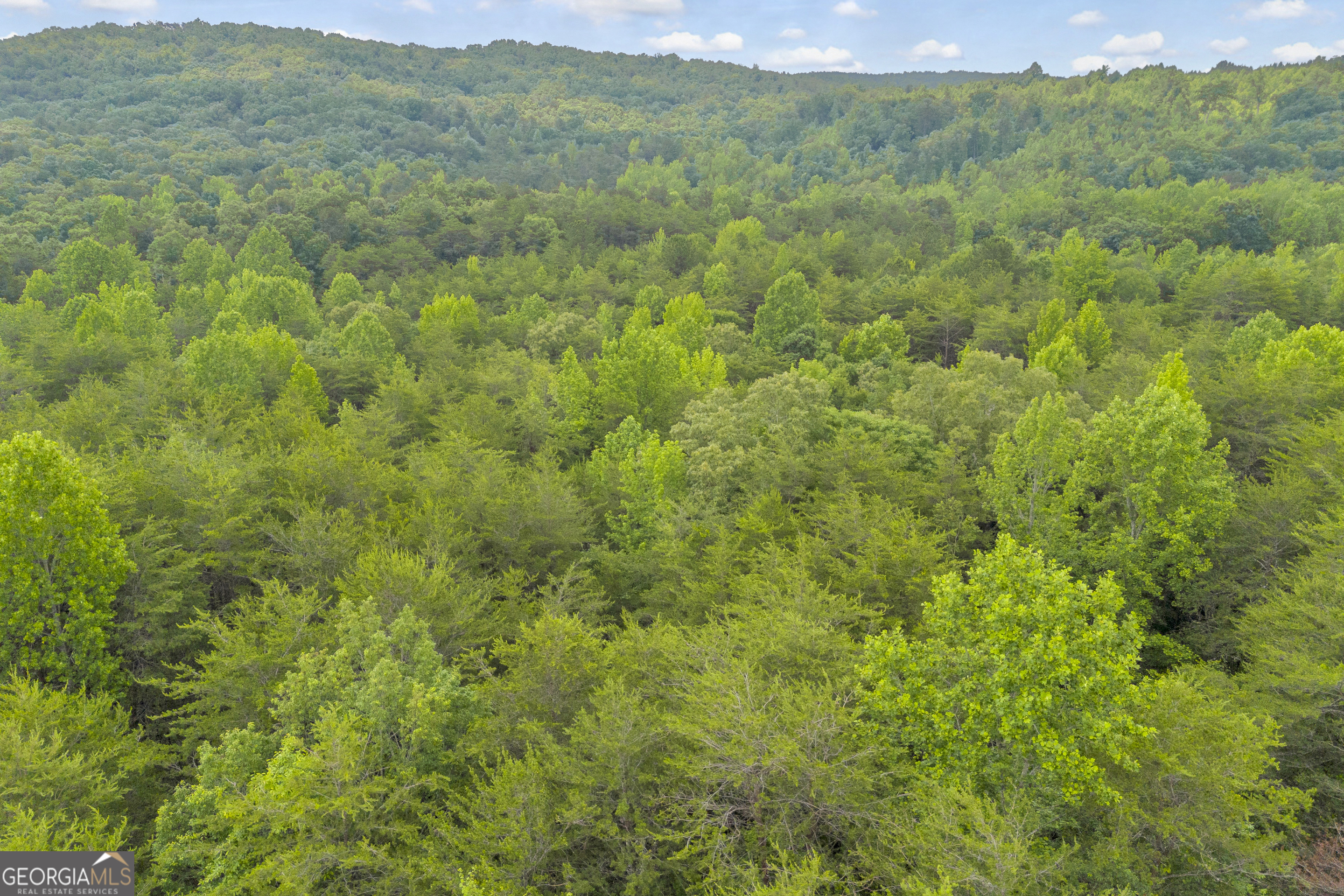 0 Trembly Bald Road Property Photo 26