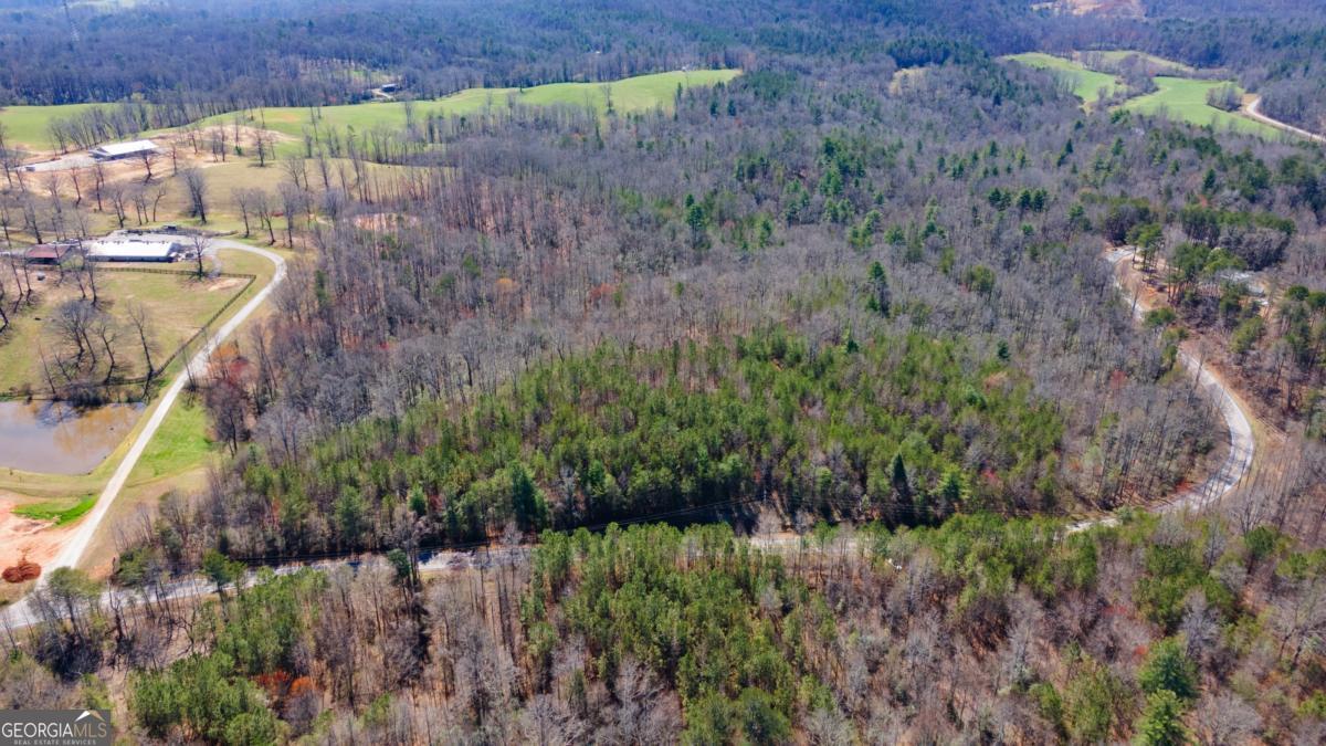 0 Afton #1 Road Property Photo 4