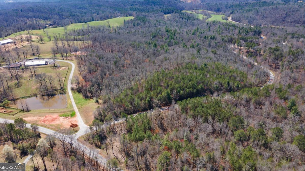 0 Afton #1 Road Property Photo 6