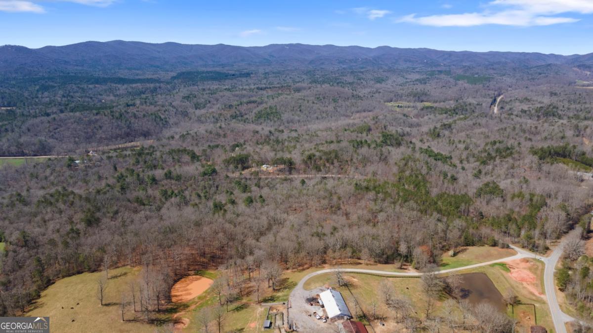 0 Afton #1 Road Property Photo 8