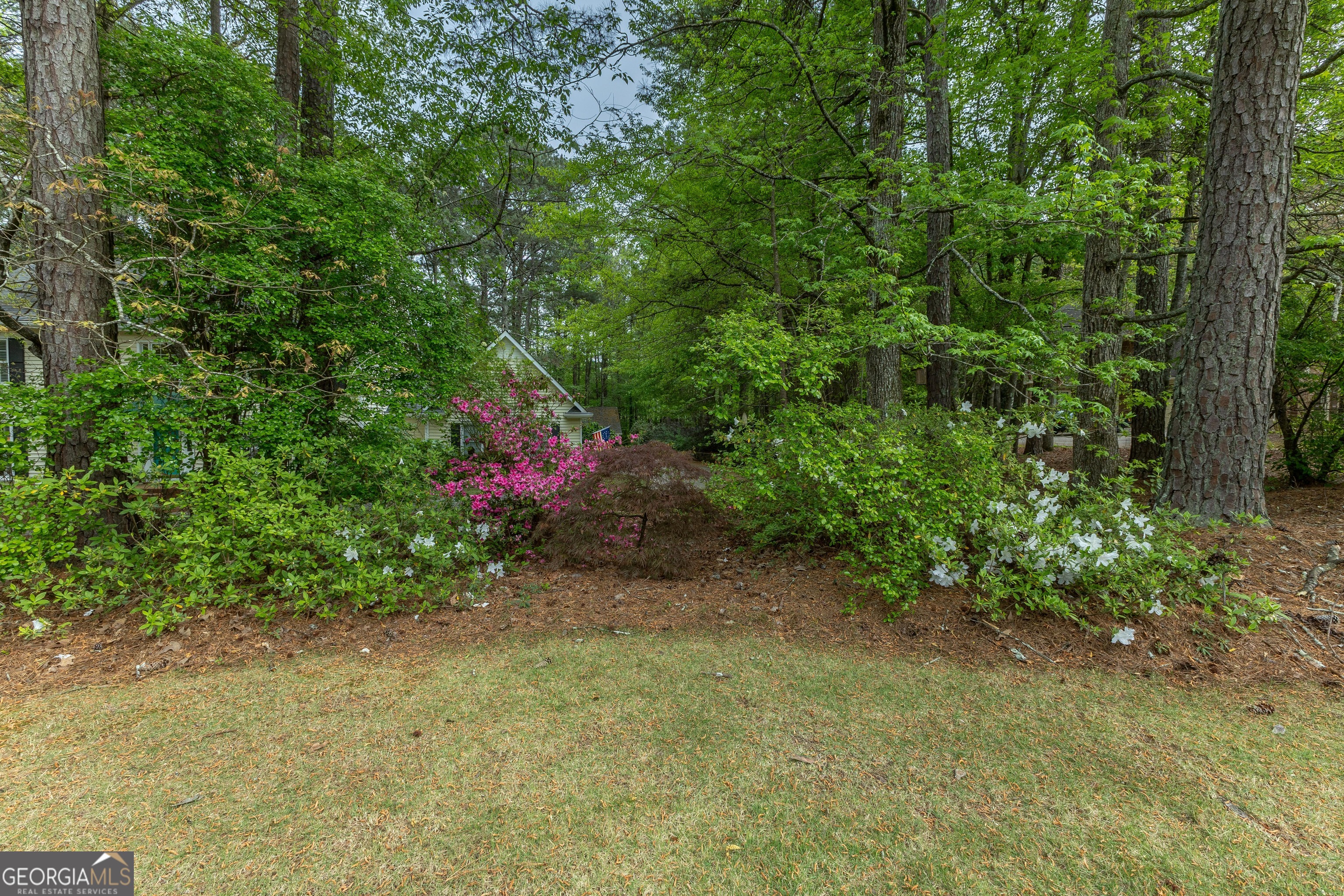 175 Weeping Willow Way Property Photo 56