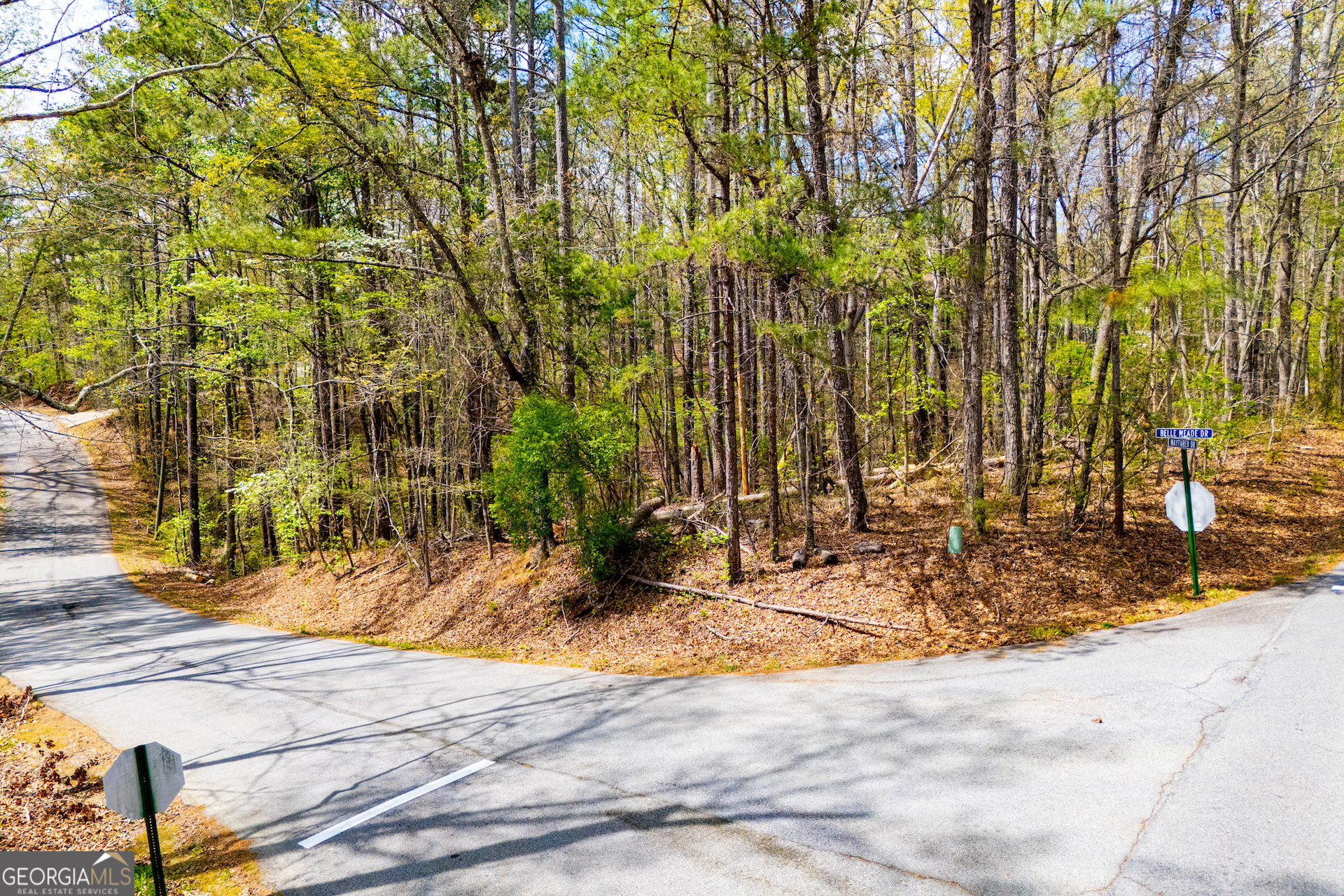 6156 Belle Meade Drive Property Photo 1