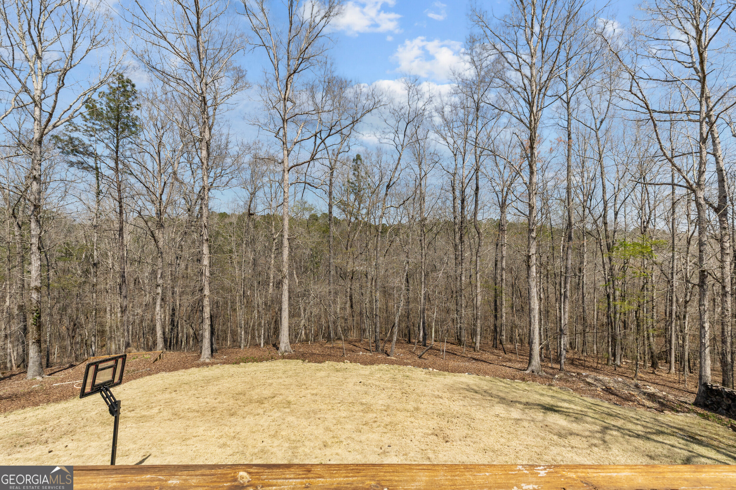 9810 Walnut Grove Trail Property Photo 31