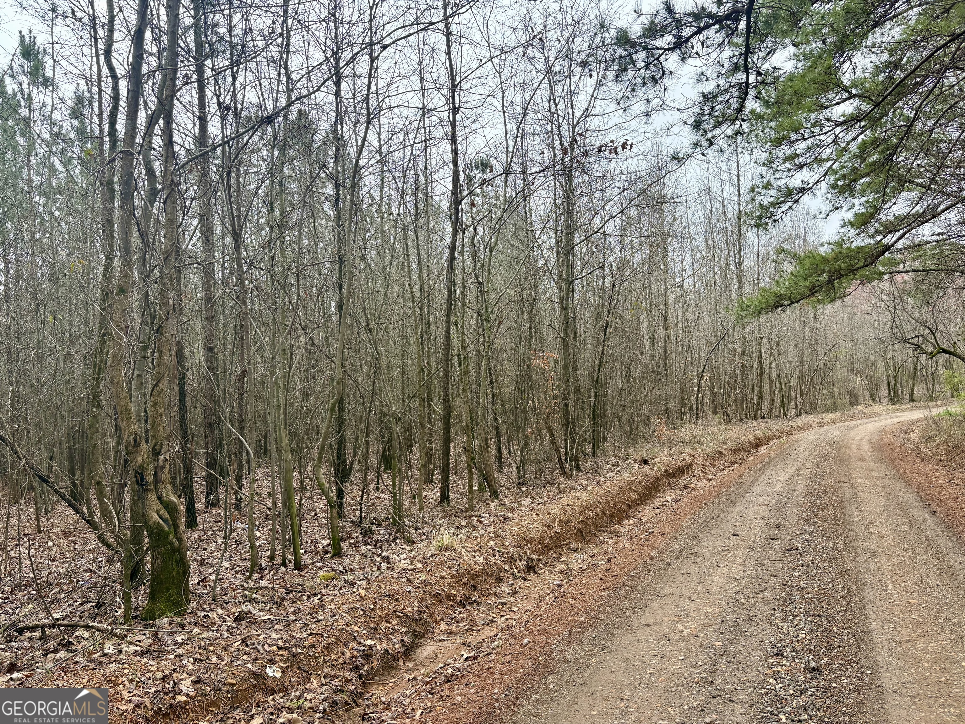0 County Road 670 Property Photo 1