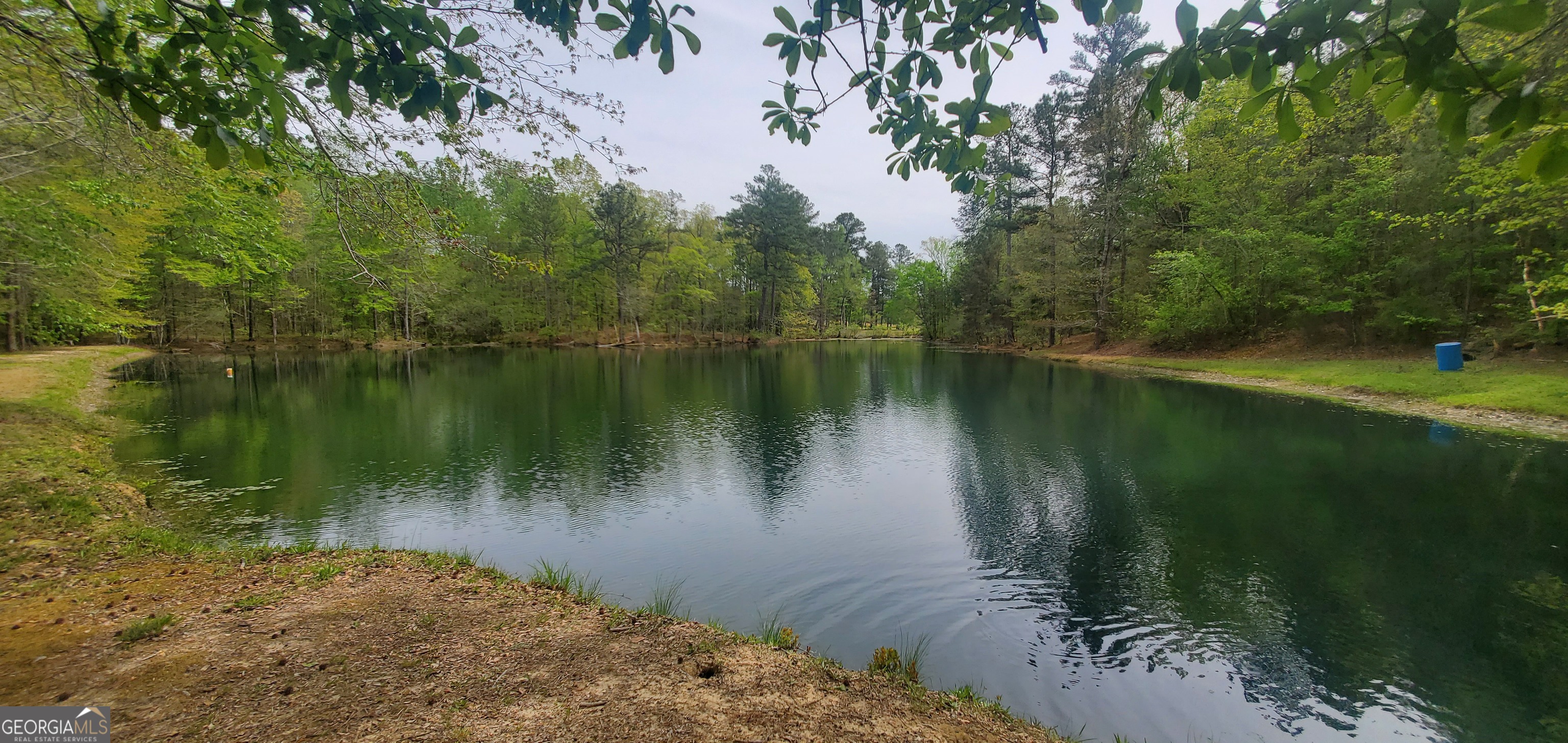 384 Enon Grove Road Property Photo 2