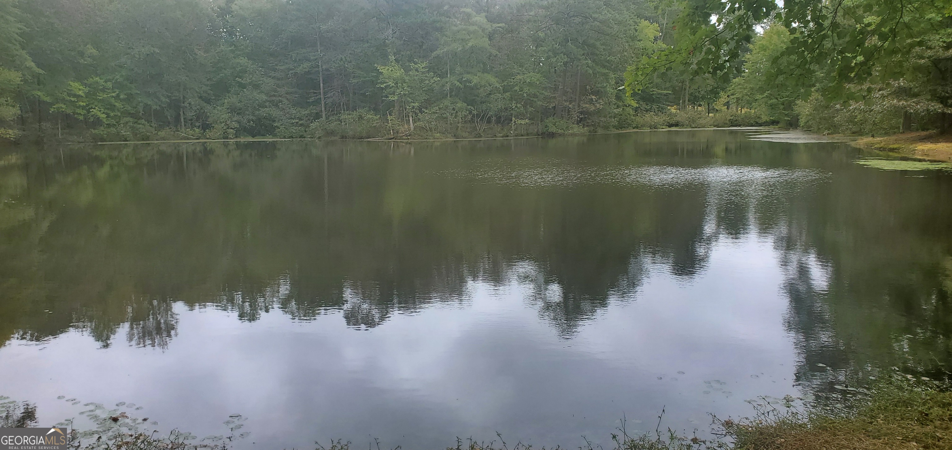 384 Enon Grove Road Property Photo 12