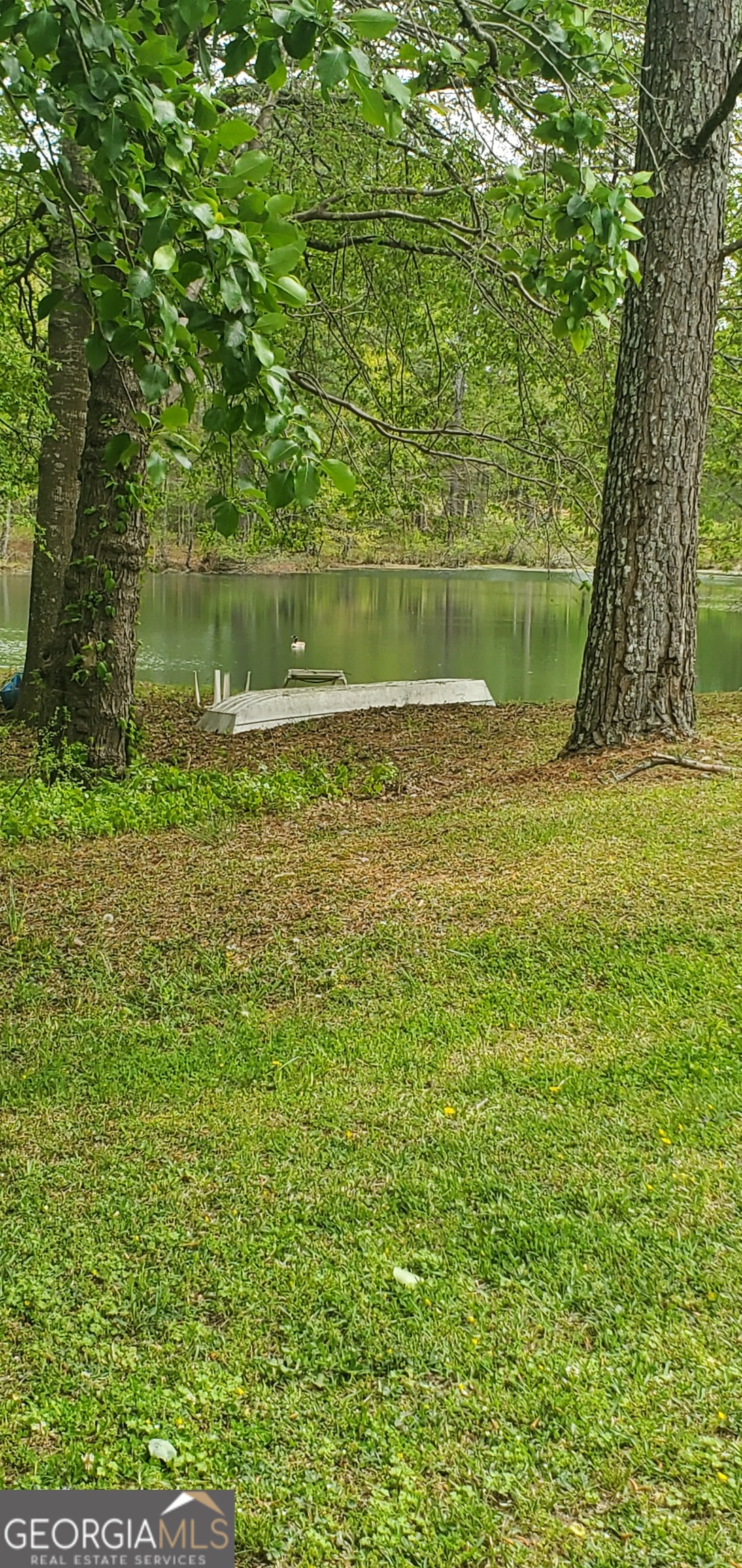 384 Enon Grove Road Property Photo 20