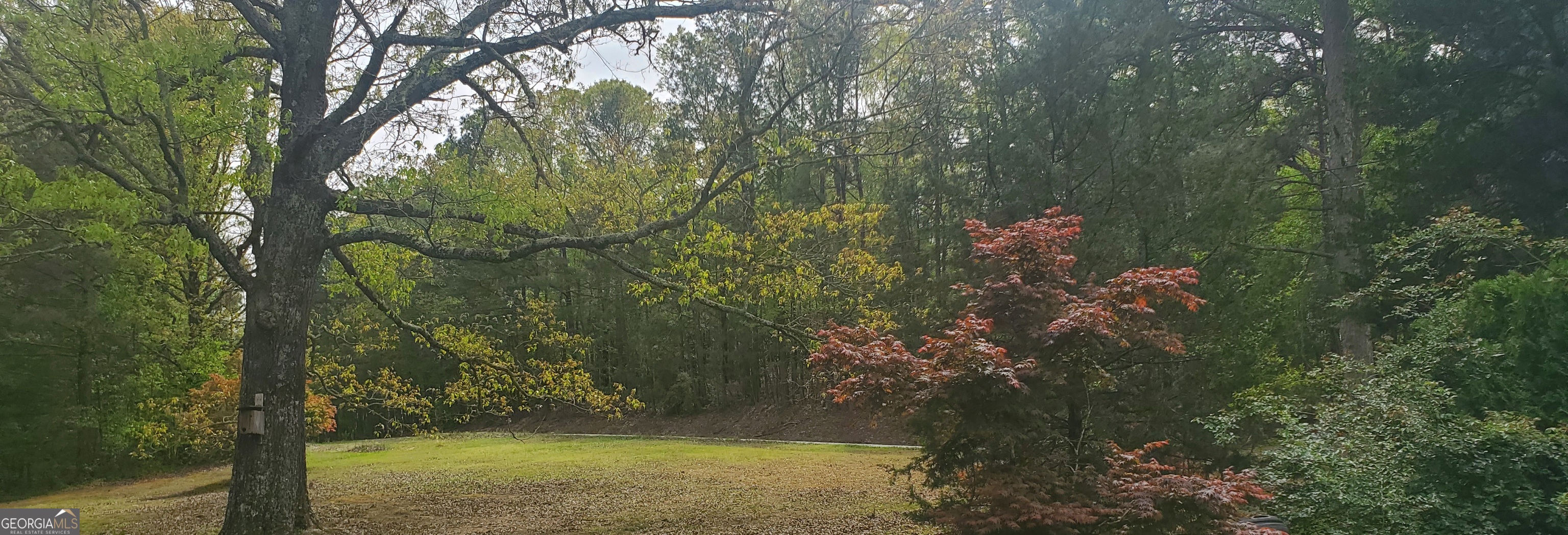384 Enon Grove Road Property Photo 23