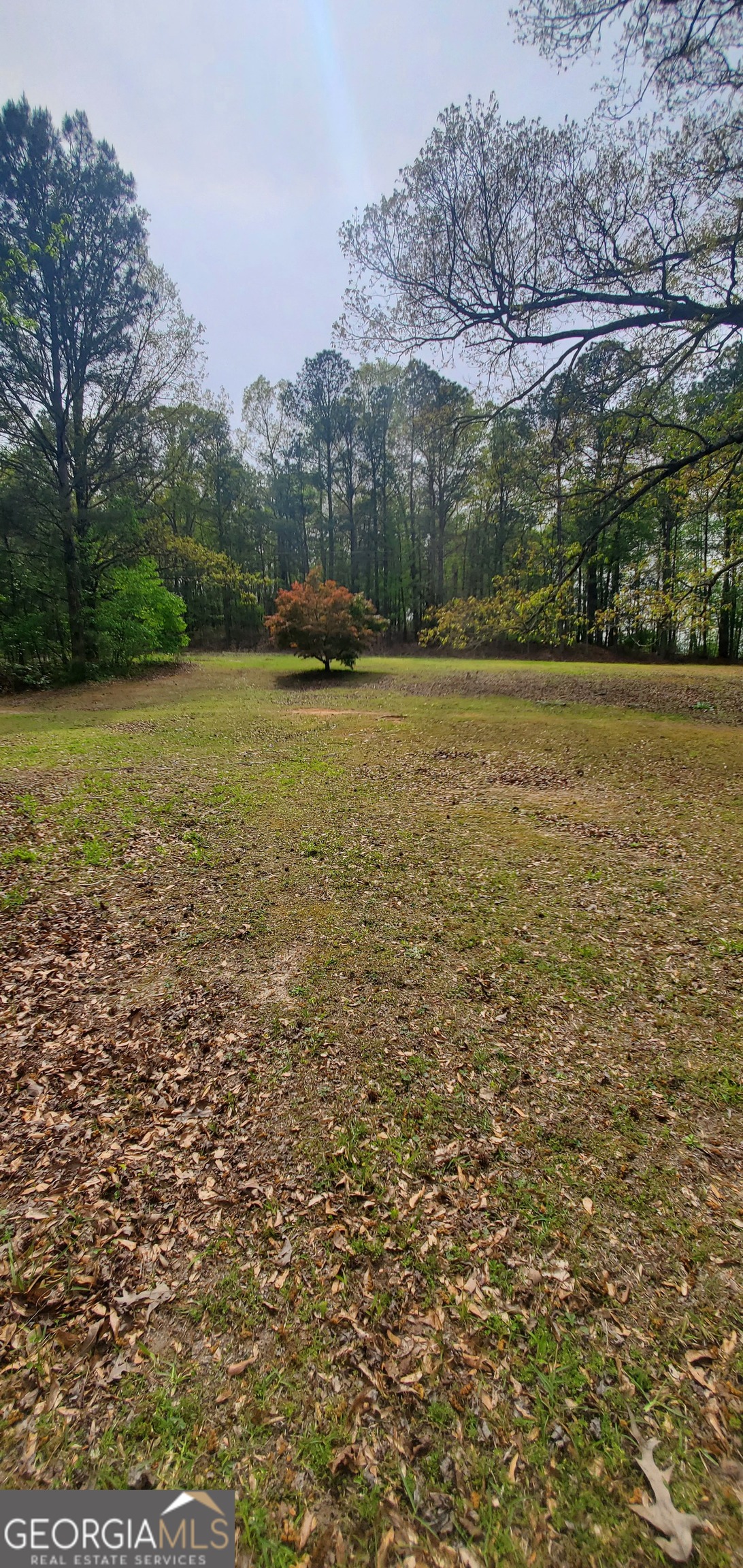 384 Enon Grove Road Property Photo 26