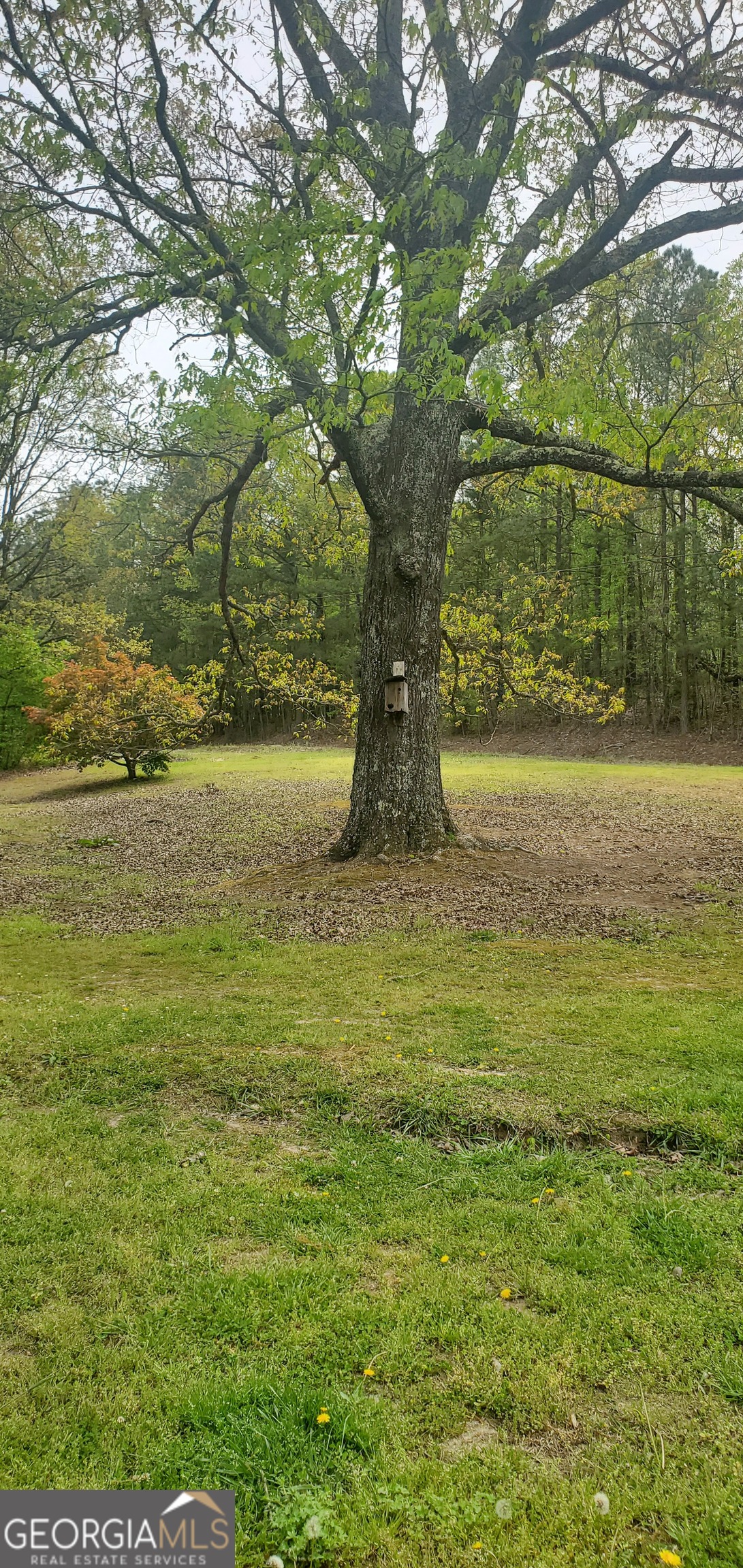 384 Enon Grove Road Property Photo 28