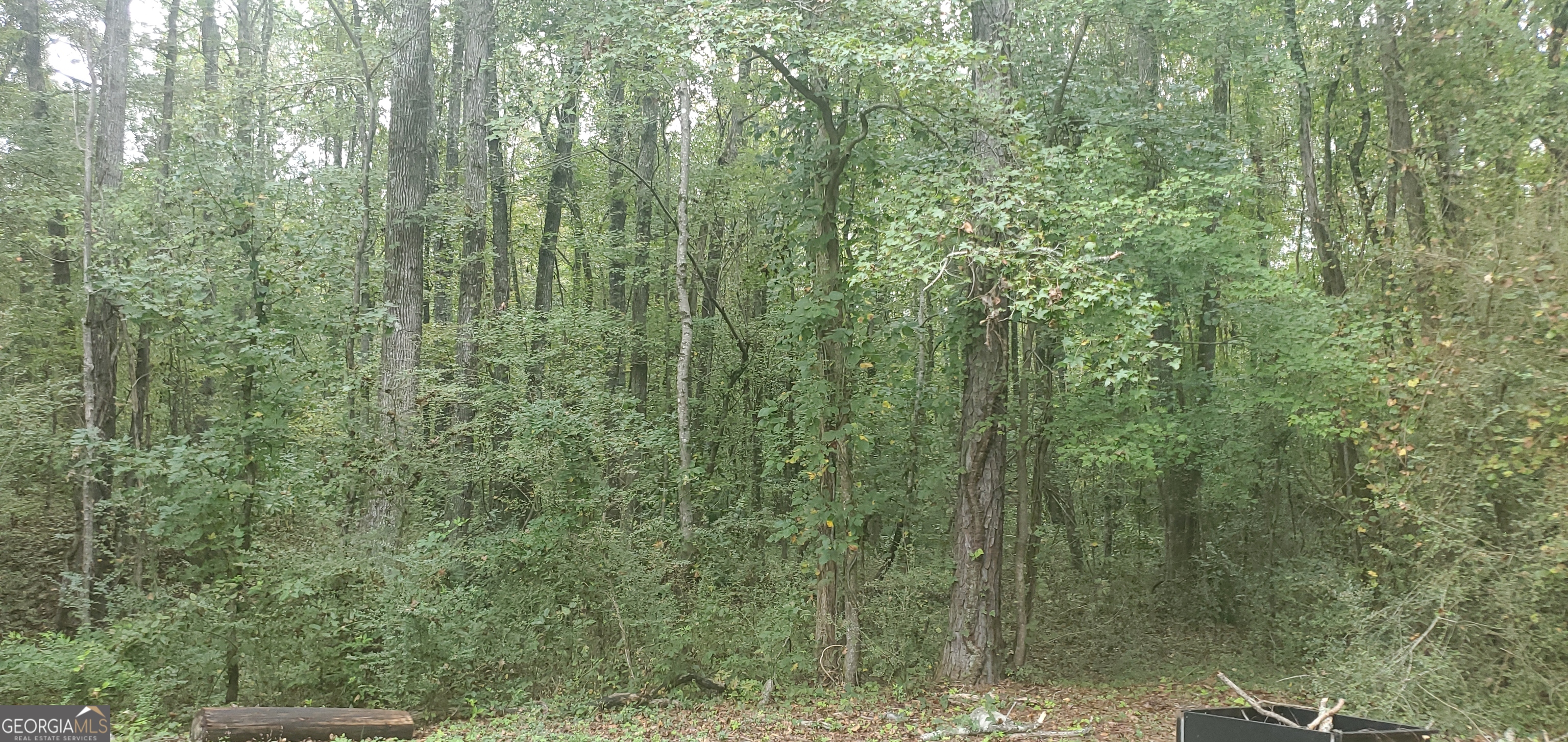 384 Enon Grove Road Property Photo 69