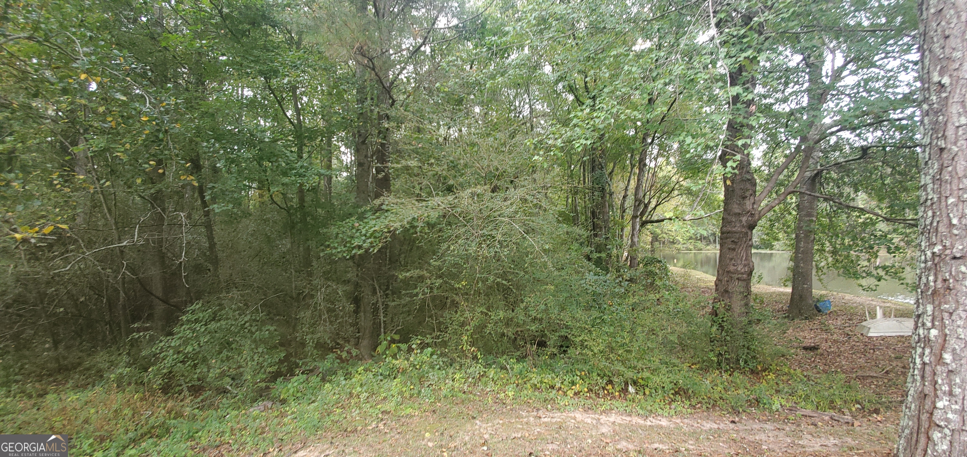 384 Enon Grove Road Property Photo 73