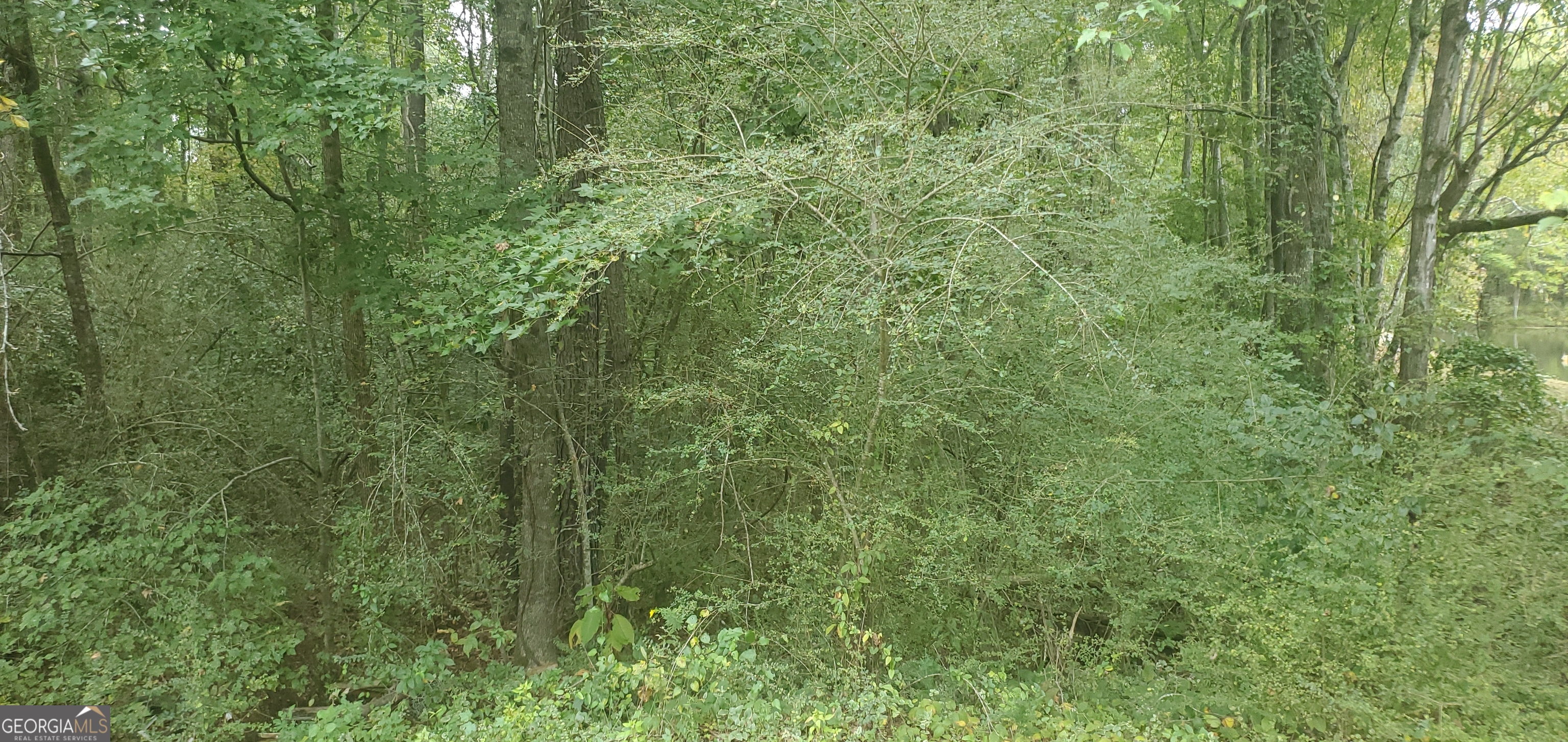 384 Enon Grove Road Property Photo 74