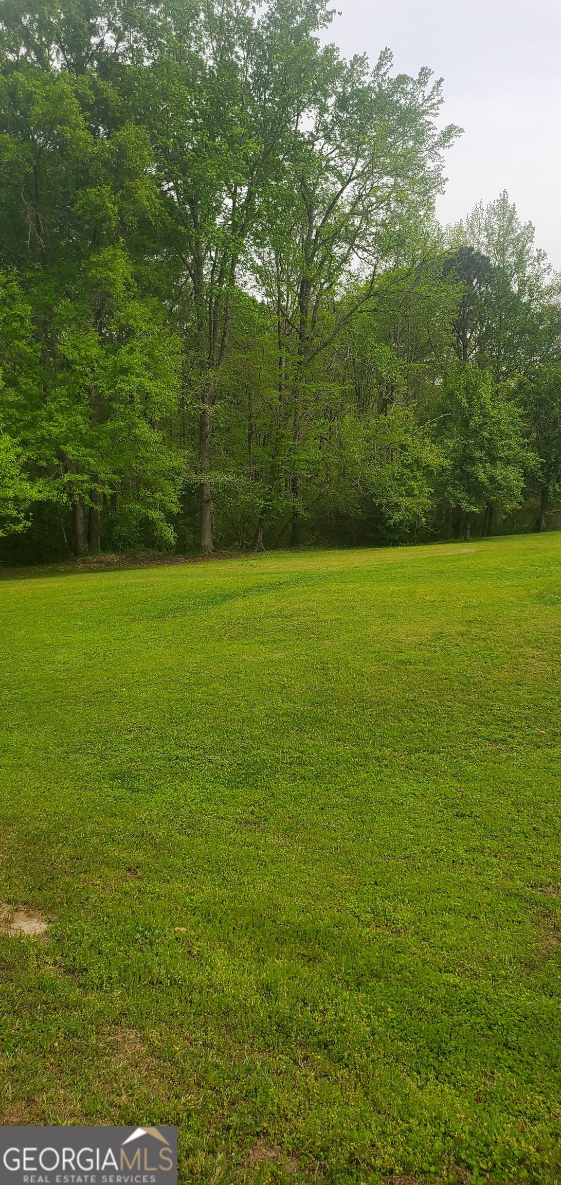 384 Enon Grove Road Property Photo 83
