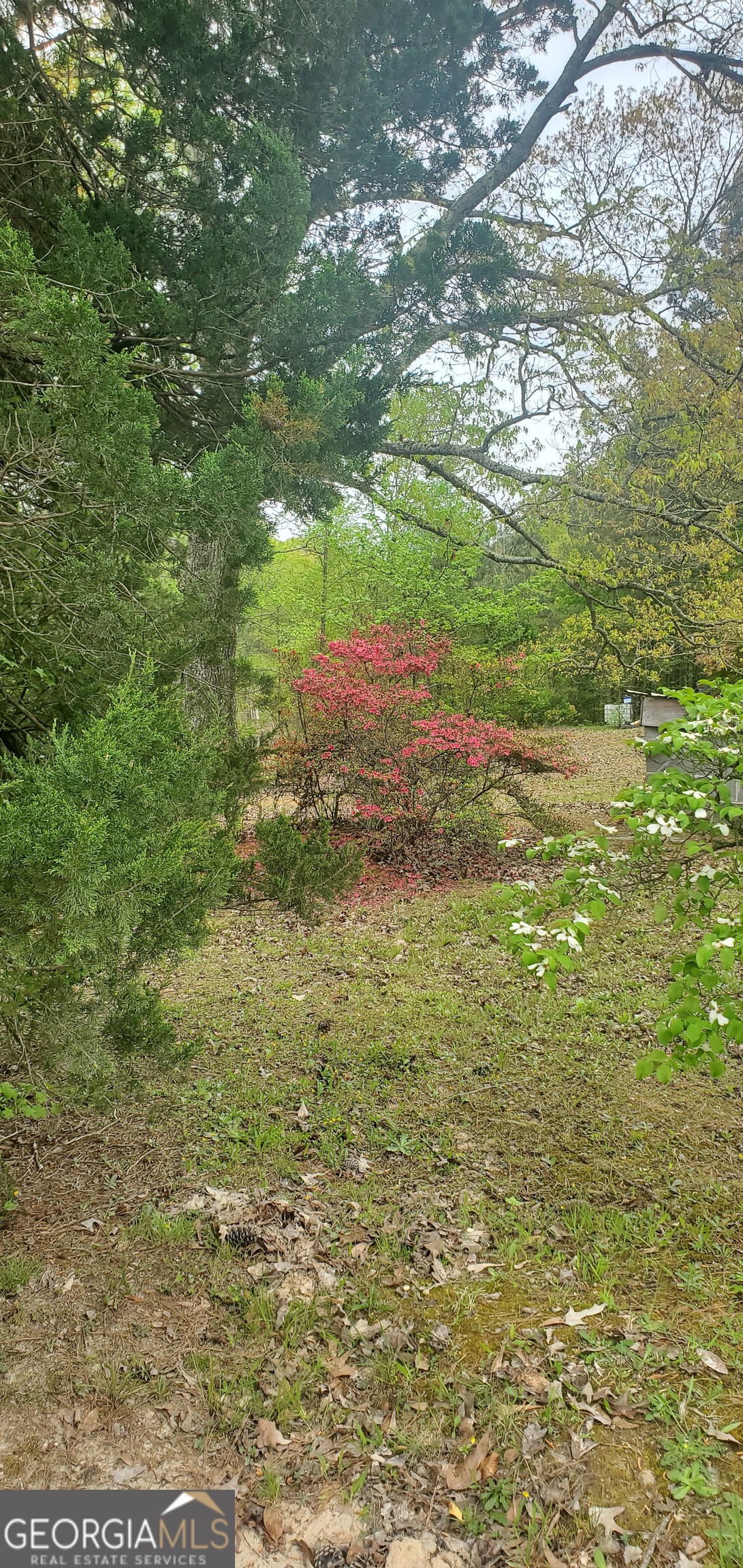 384 Enon Grove Road Property Photo 99