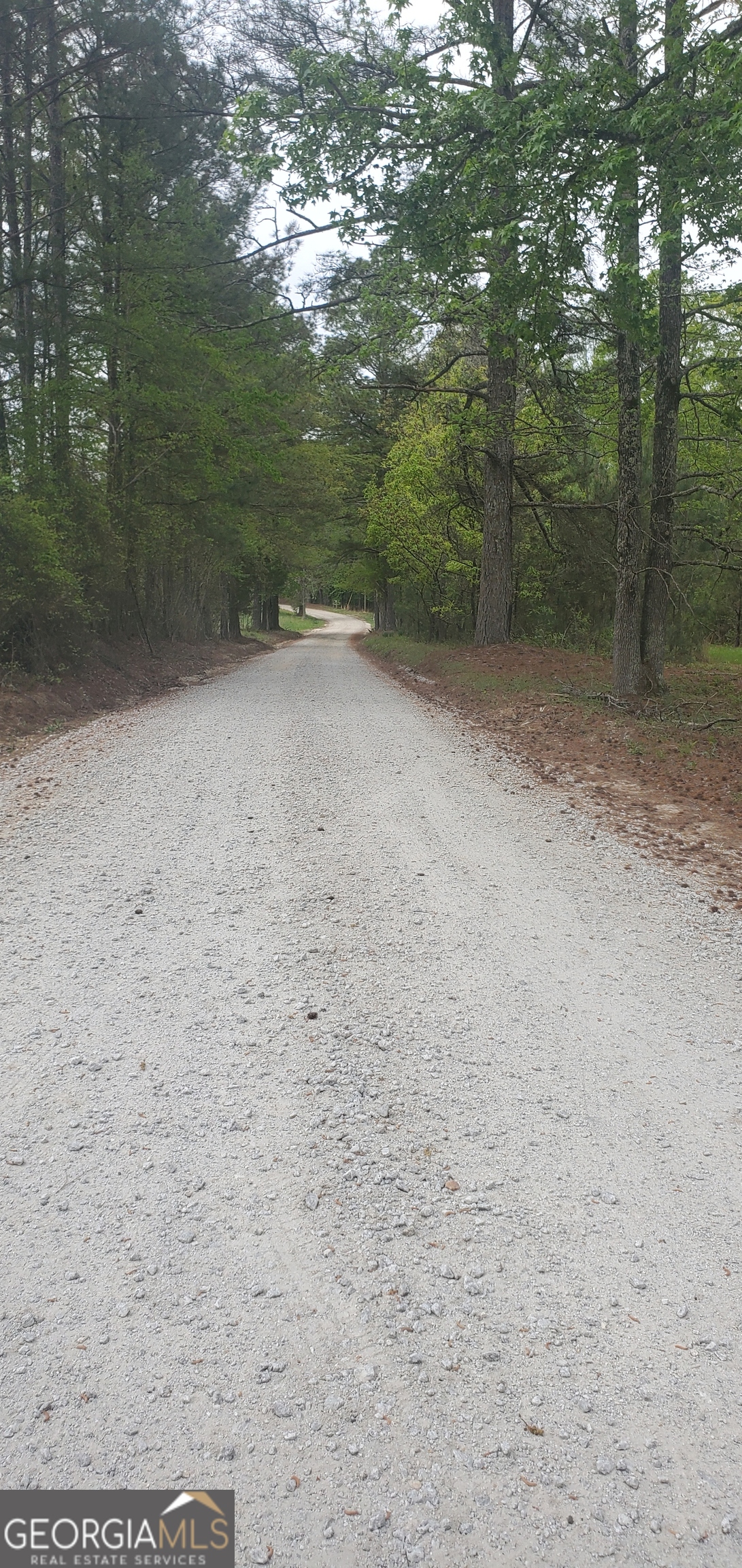 384 Enon Grove Road Property Photo 115