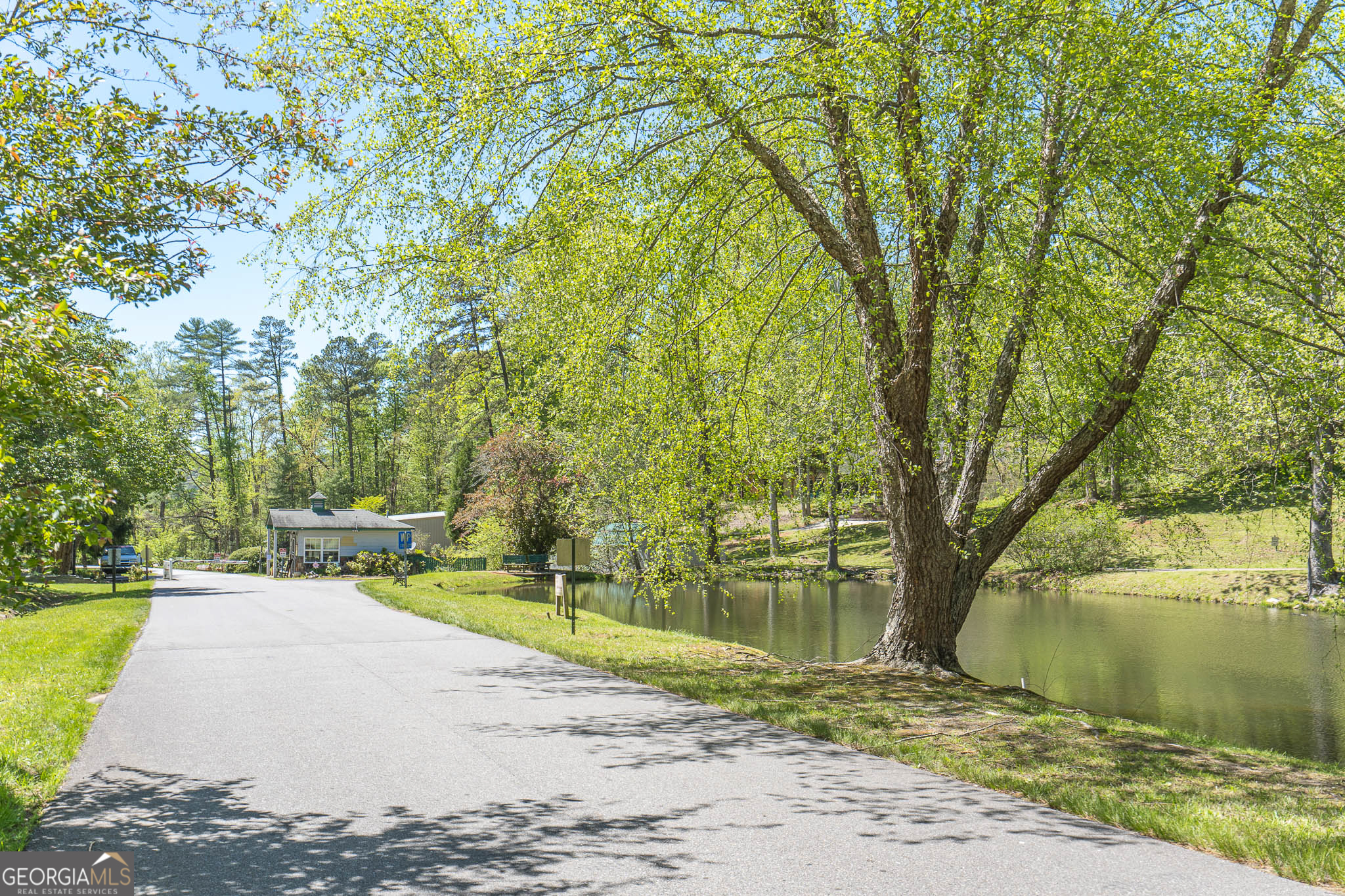 15 Lonesome Pine Property Photo 52