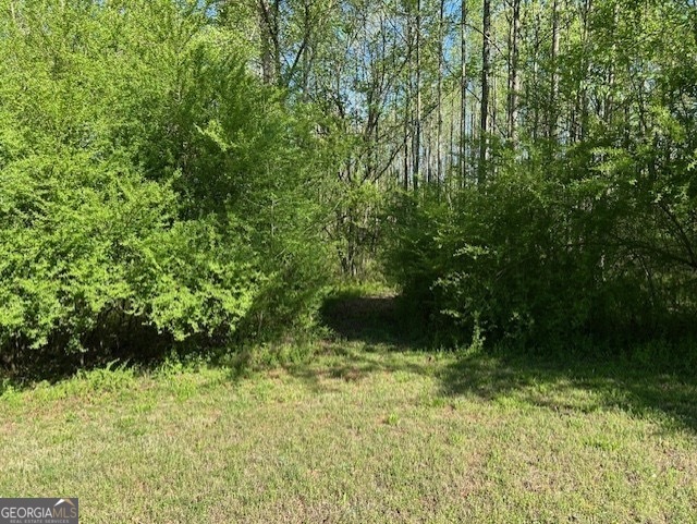 0 Glade Rocks Springs Road Property Photo 3