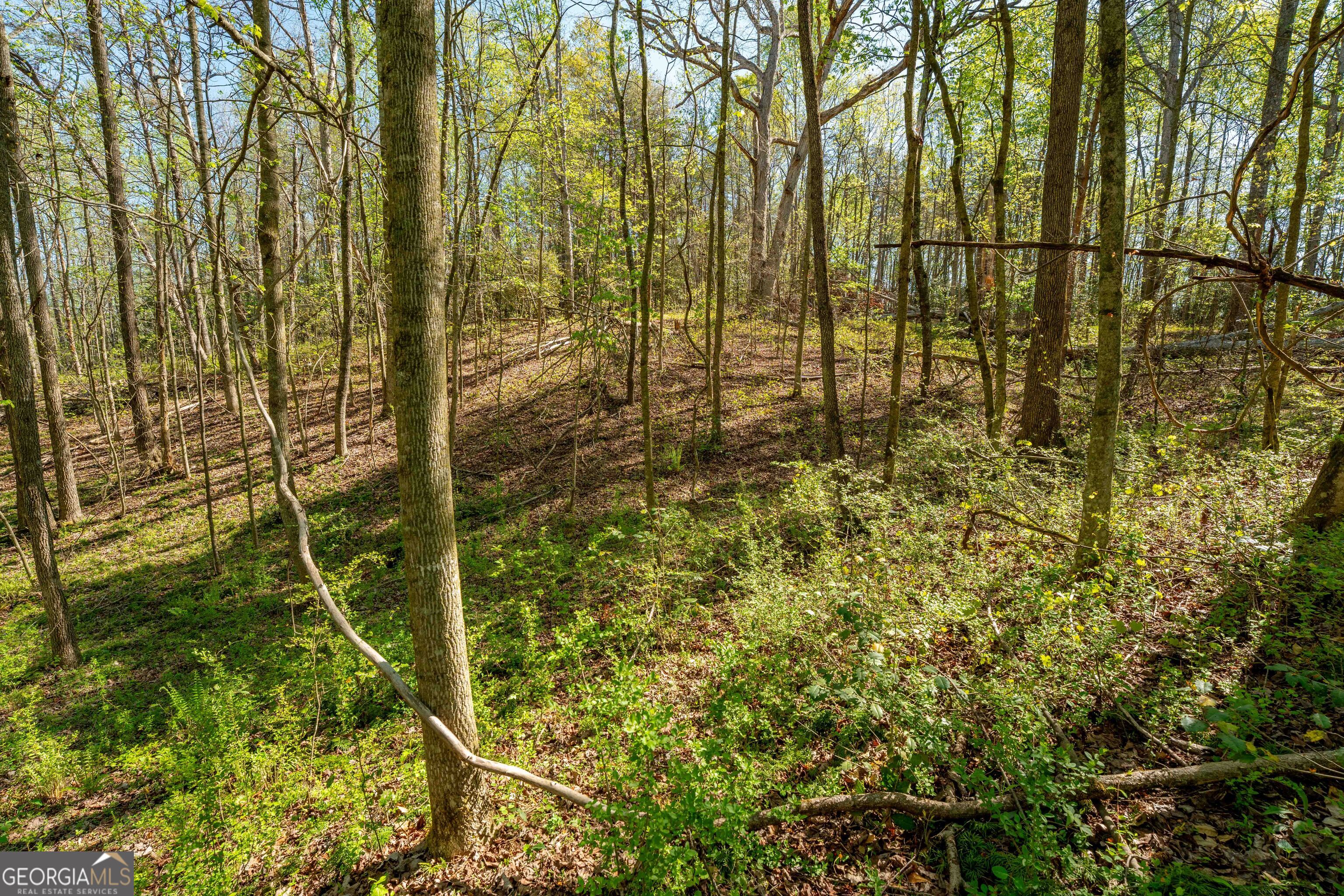 0 Glade Rocks Springs Road Property Photo 6