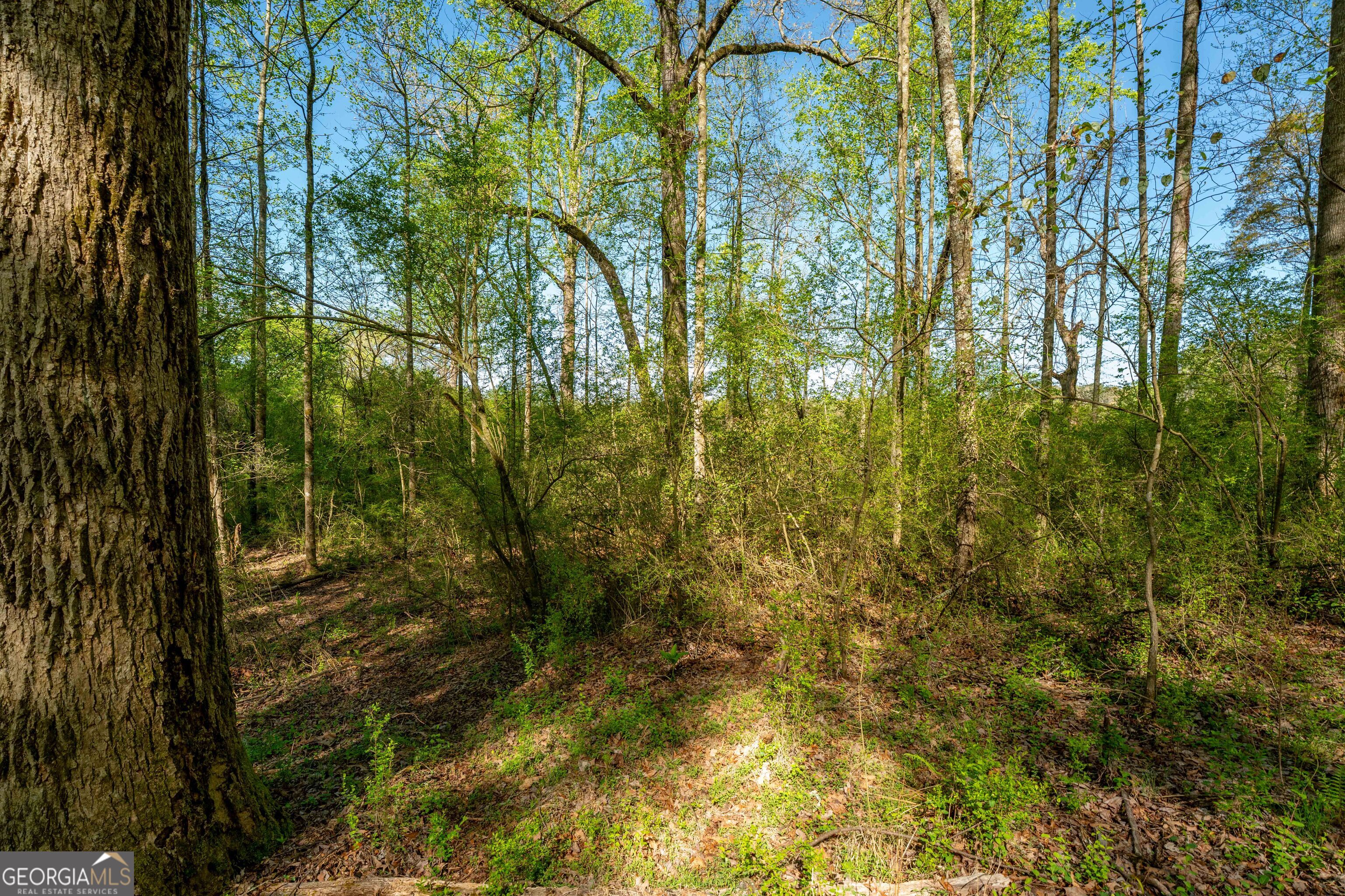 0 Glade Rocks Springs Road Property Photo 9