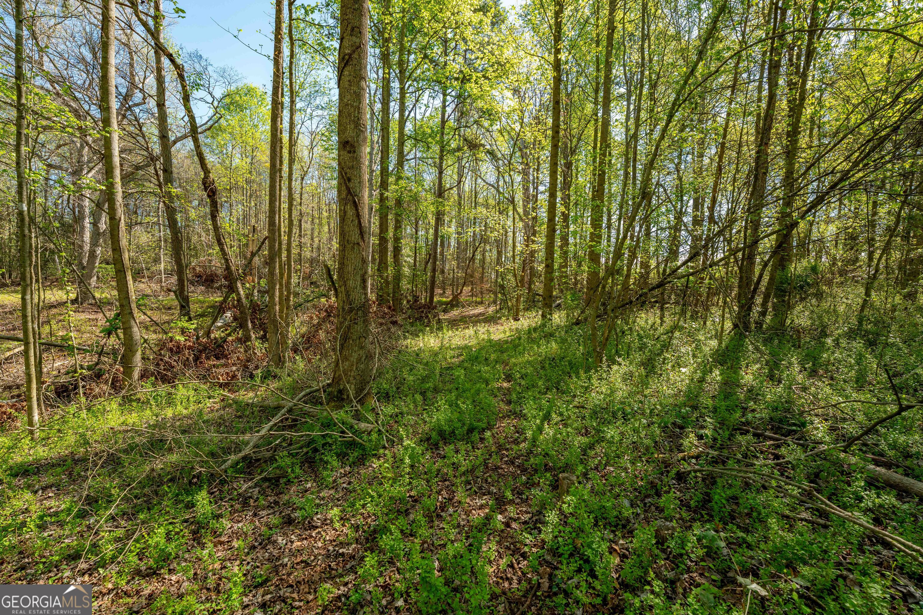 0 Glade Rocks Springs Road Property Photo 18