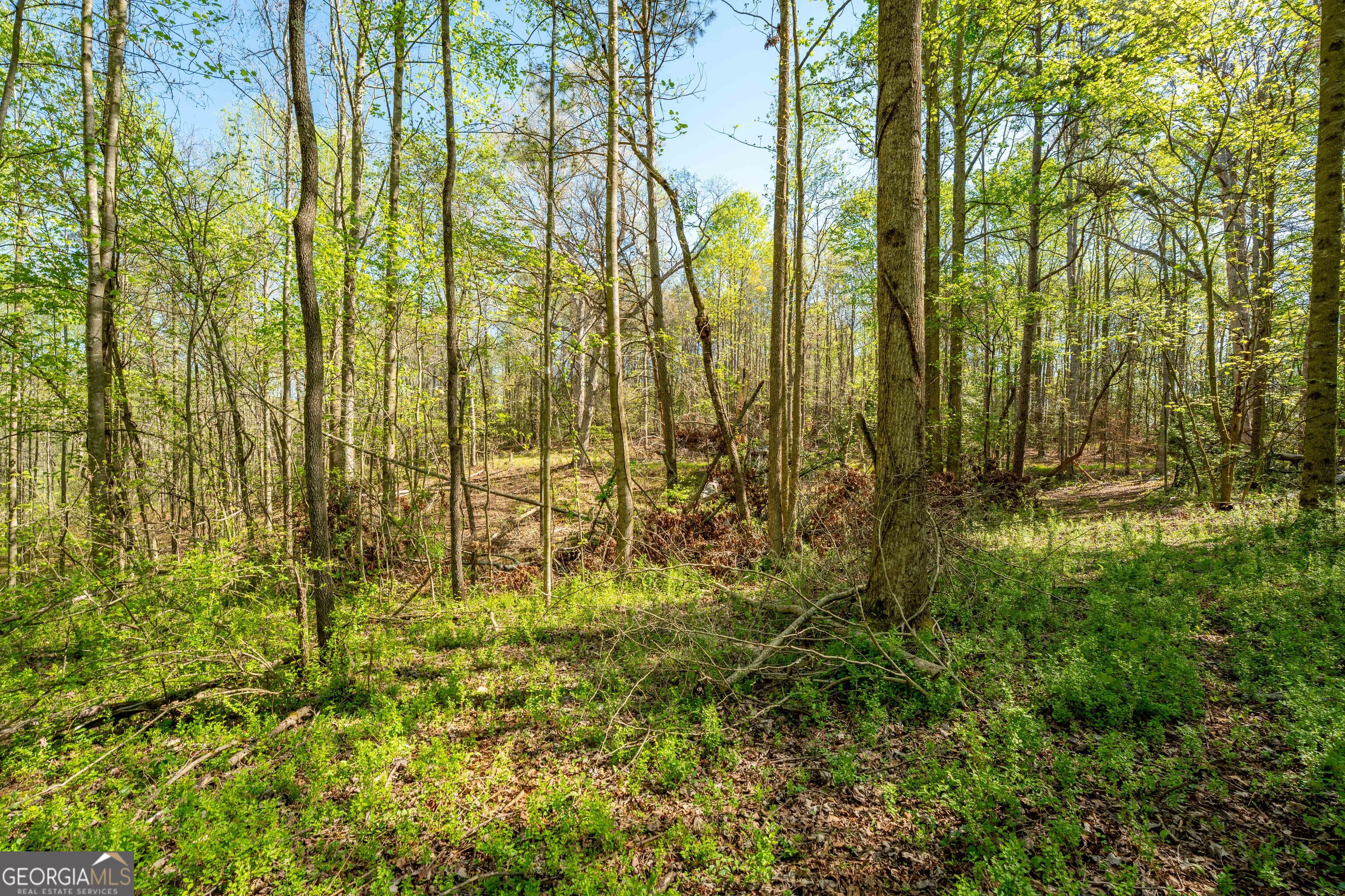 0 Glade Rocks Springs Road Property Photo 19