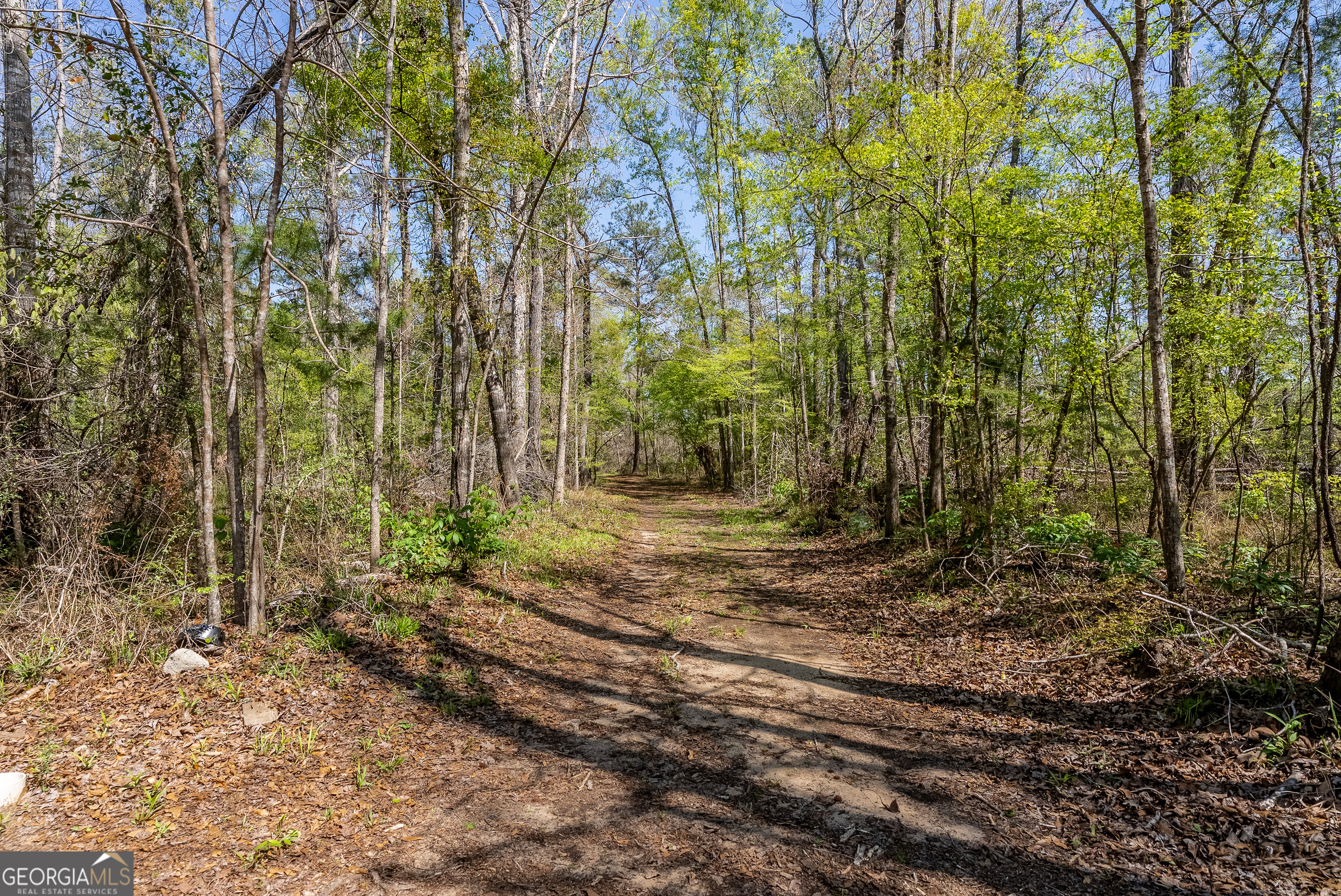 1102 Three Rivers Lane Property Photo 17