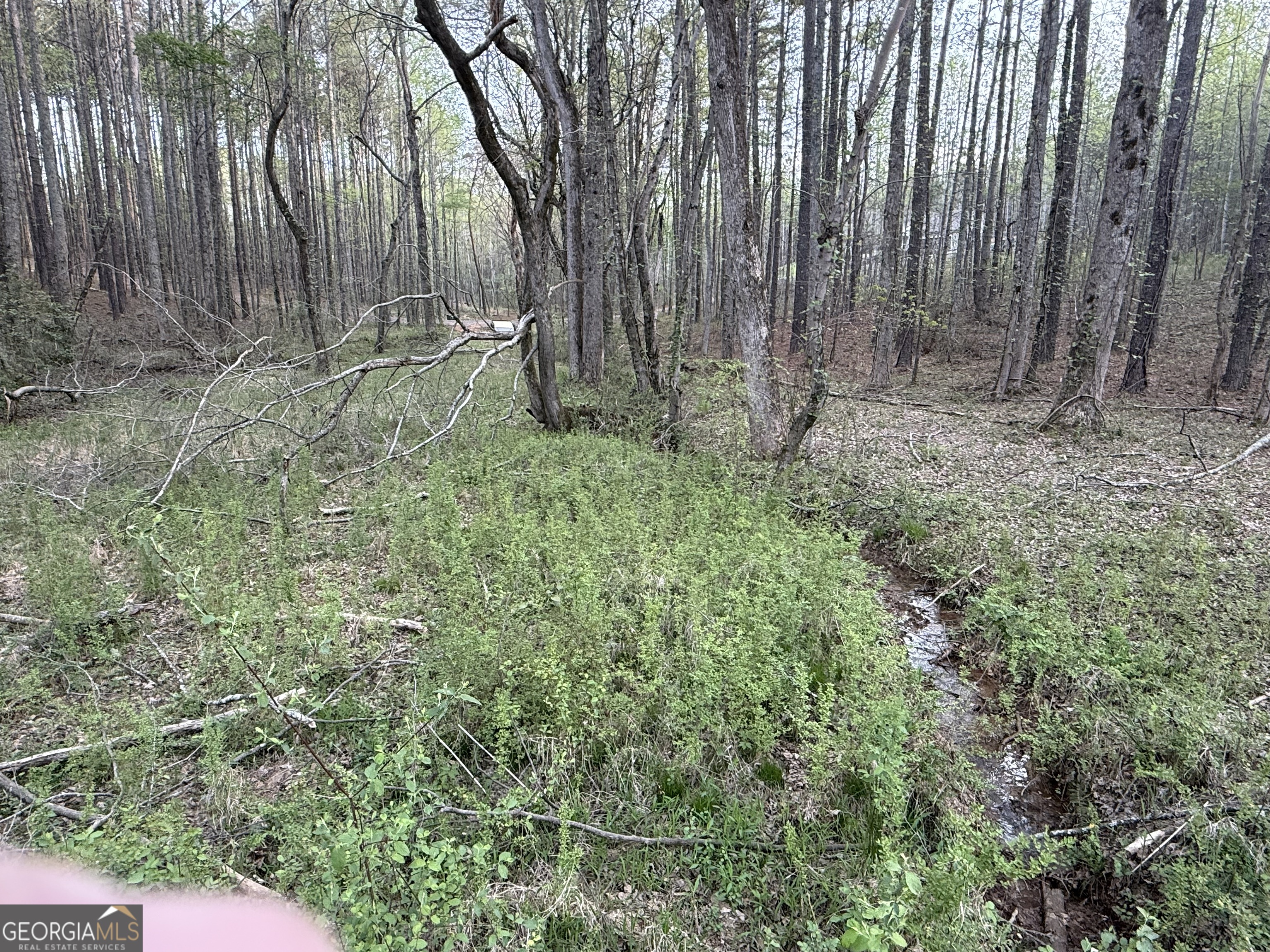 0 Henderson Mountain Road Property Photo 1